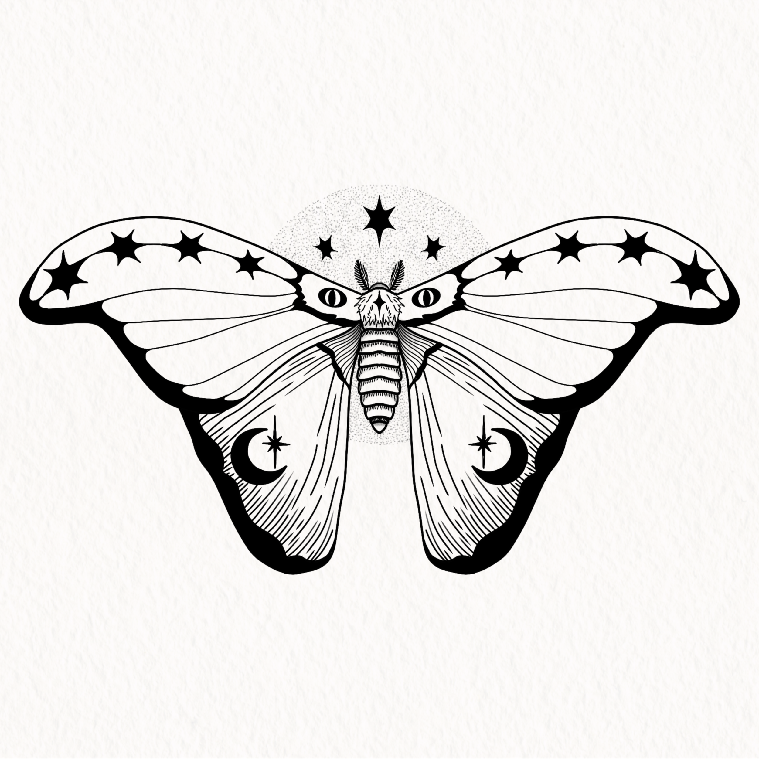 Untitled_Artwork 13.PNG