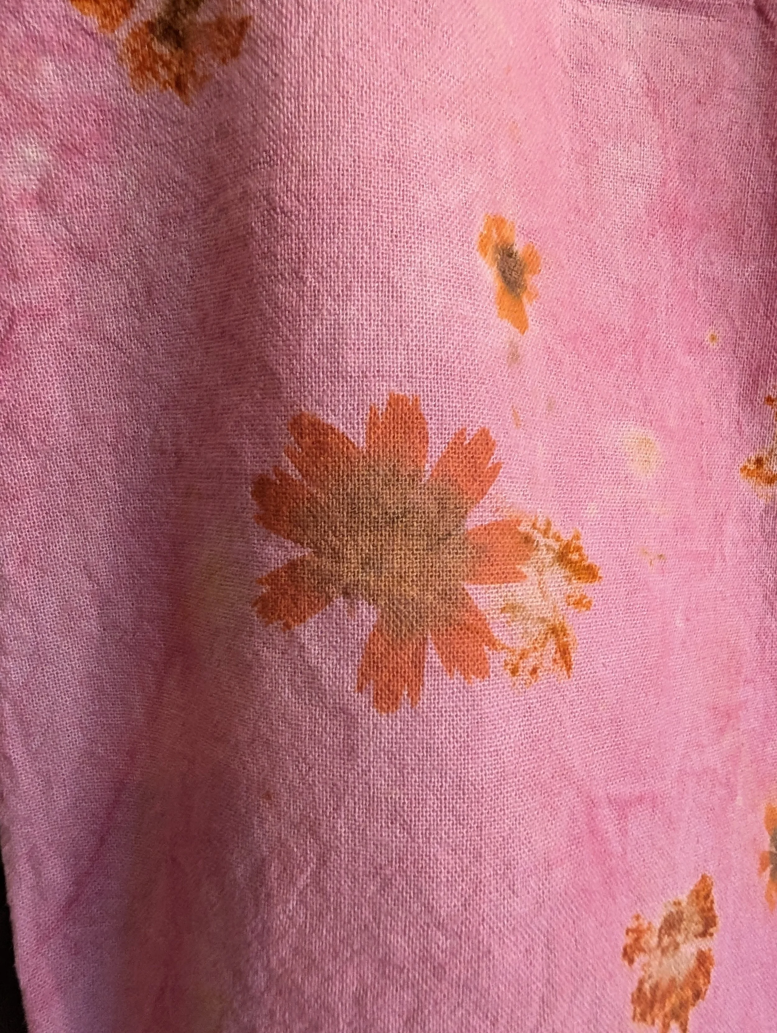 PXL_20260924_233119431.jpg