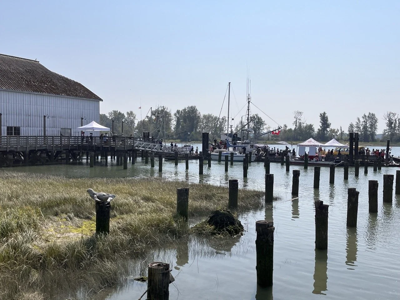 Waterfront dock with boats and people, a white building on the left, and trees in the background on a sunny day.