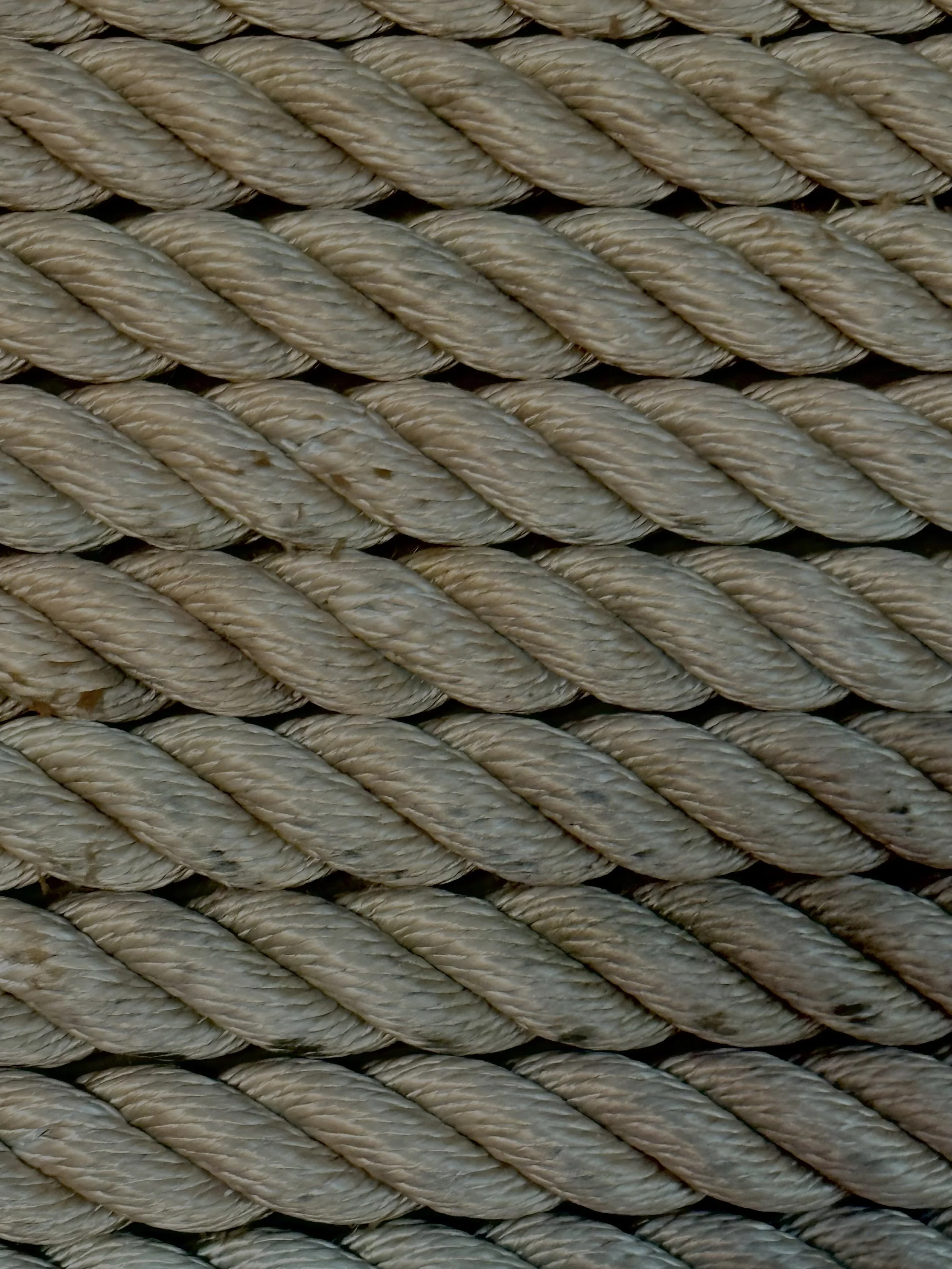 Close-up of tightly coiled beige-colored rope, showing the twisted fibers.