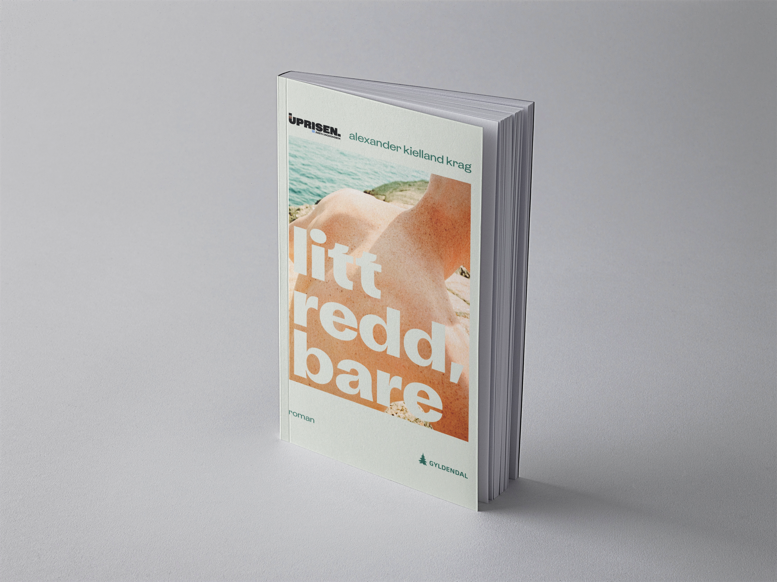 Riktig bok mockups.png