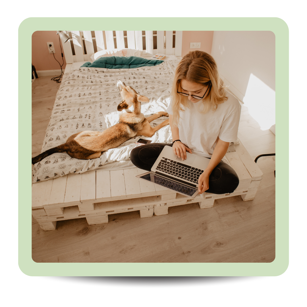 Rising sun and sprout icon for overcoming depression