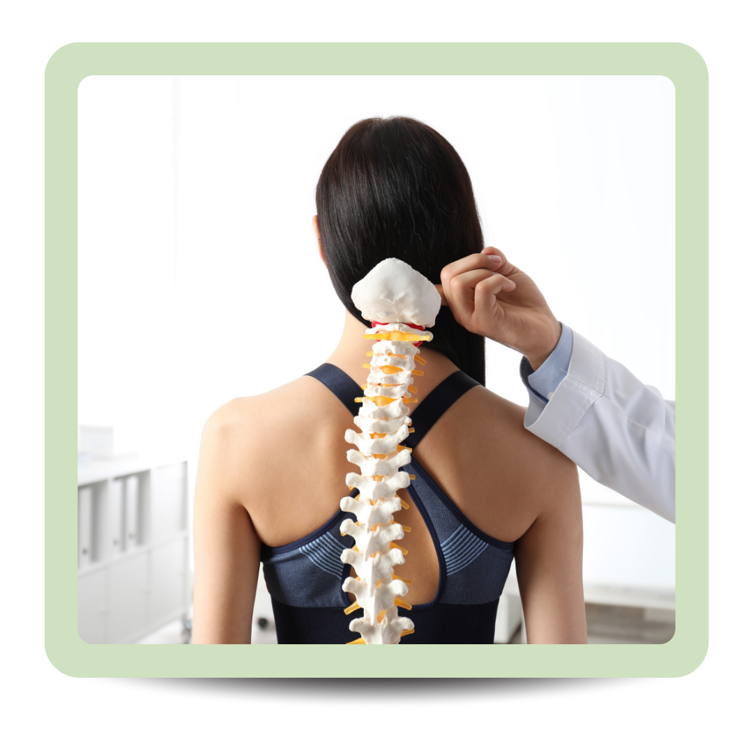 Person with a model of a human spine on their back, being examined by a healthcare professional.