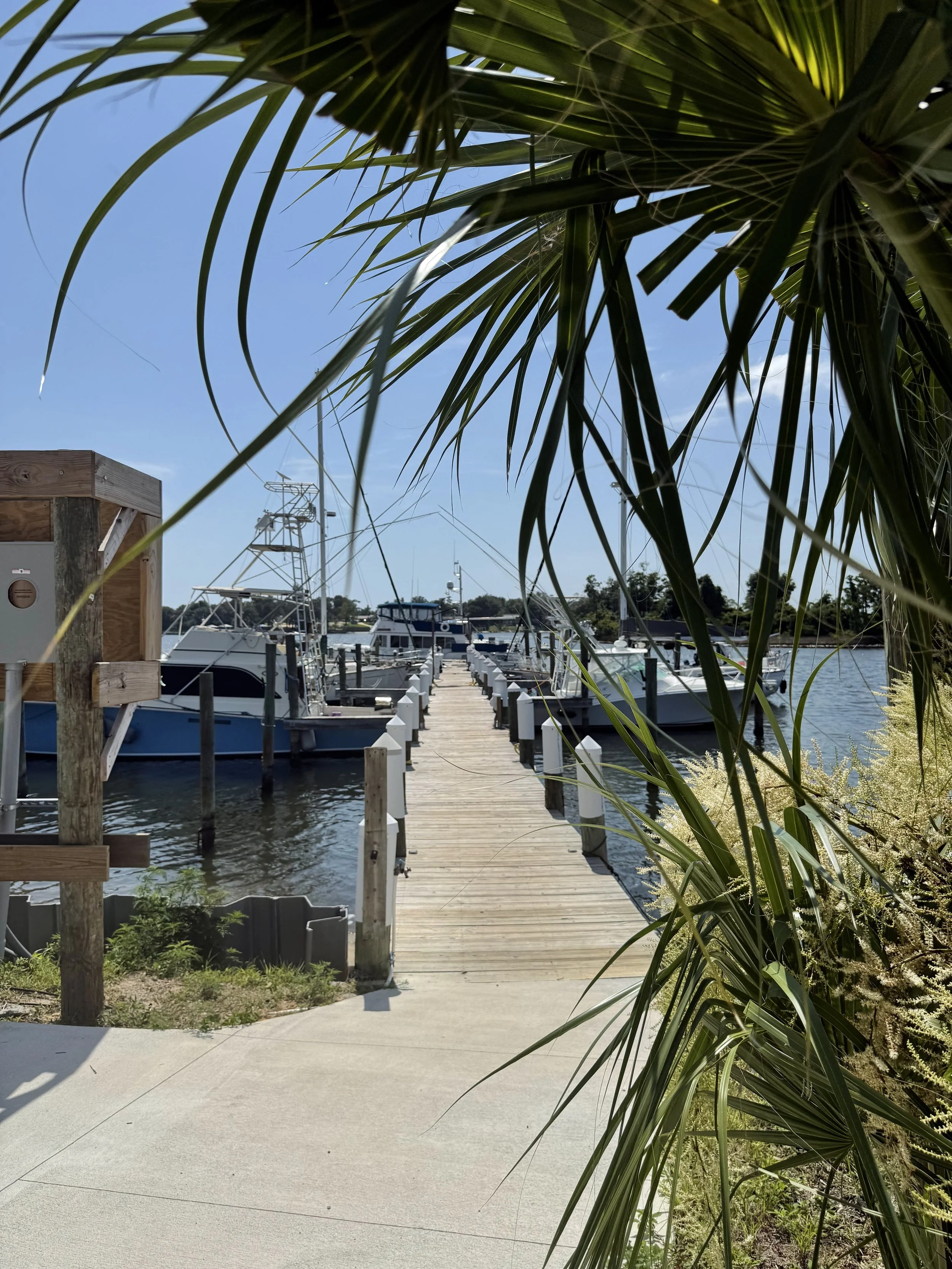A picture of a dock for the marina at Panhandle Marina & Boatyard with 4 boats in 4 slips.