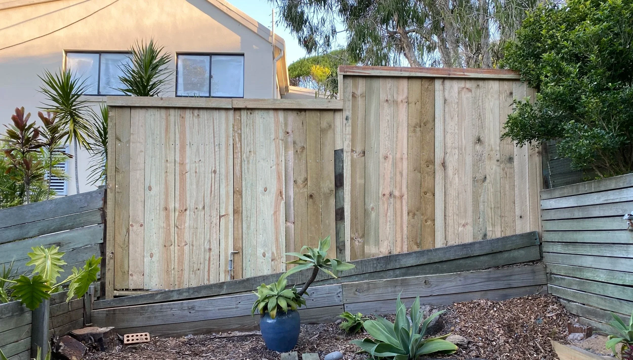 A backyard garden with a new wooden fence, various plants, and a blue ceramic pot in the foreground.