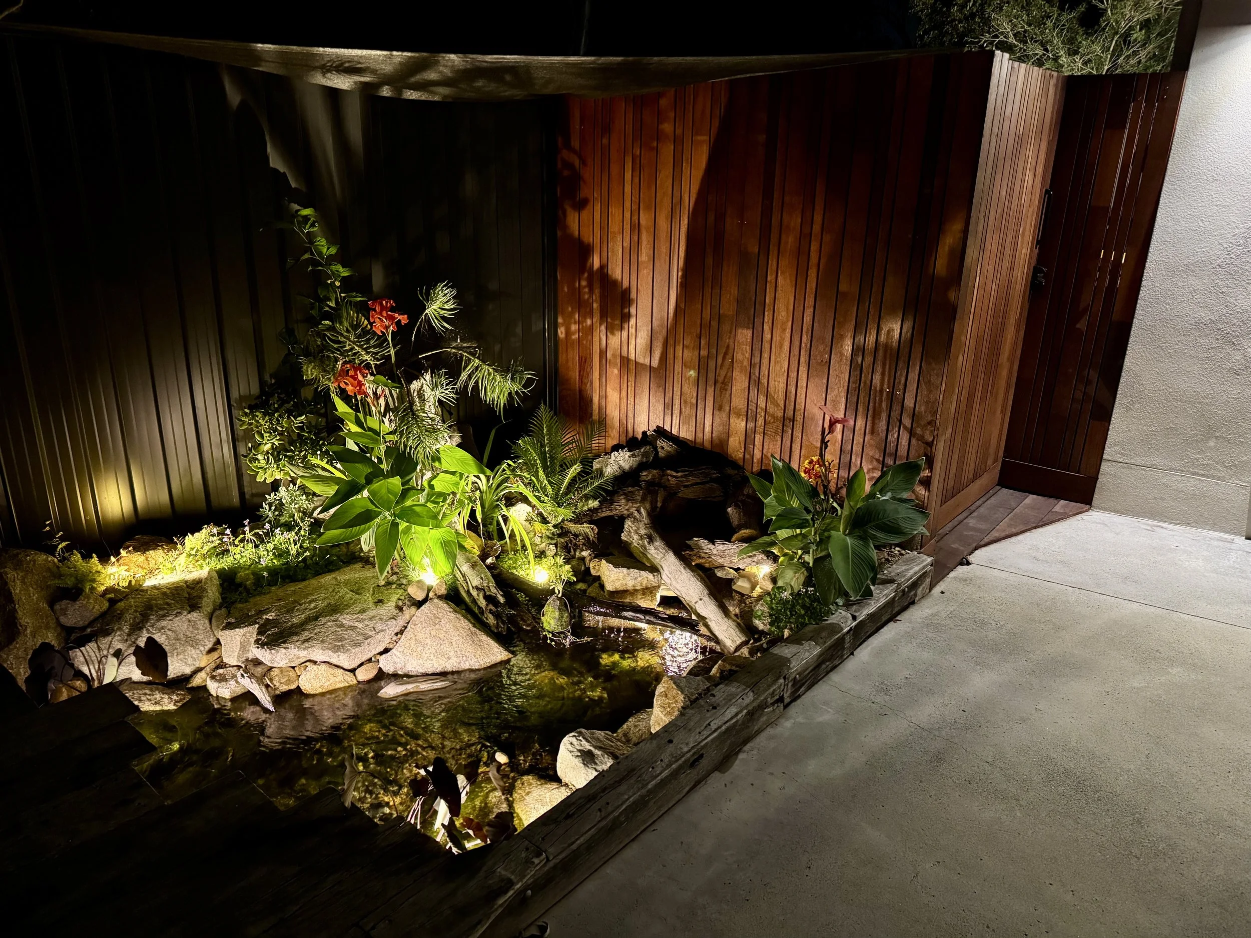 Nighttime garden scene with a small pond, rocks, and various plants illuminated by outdoor lighting, alongside a wooden fence and wall.