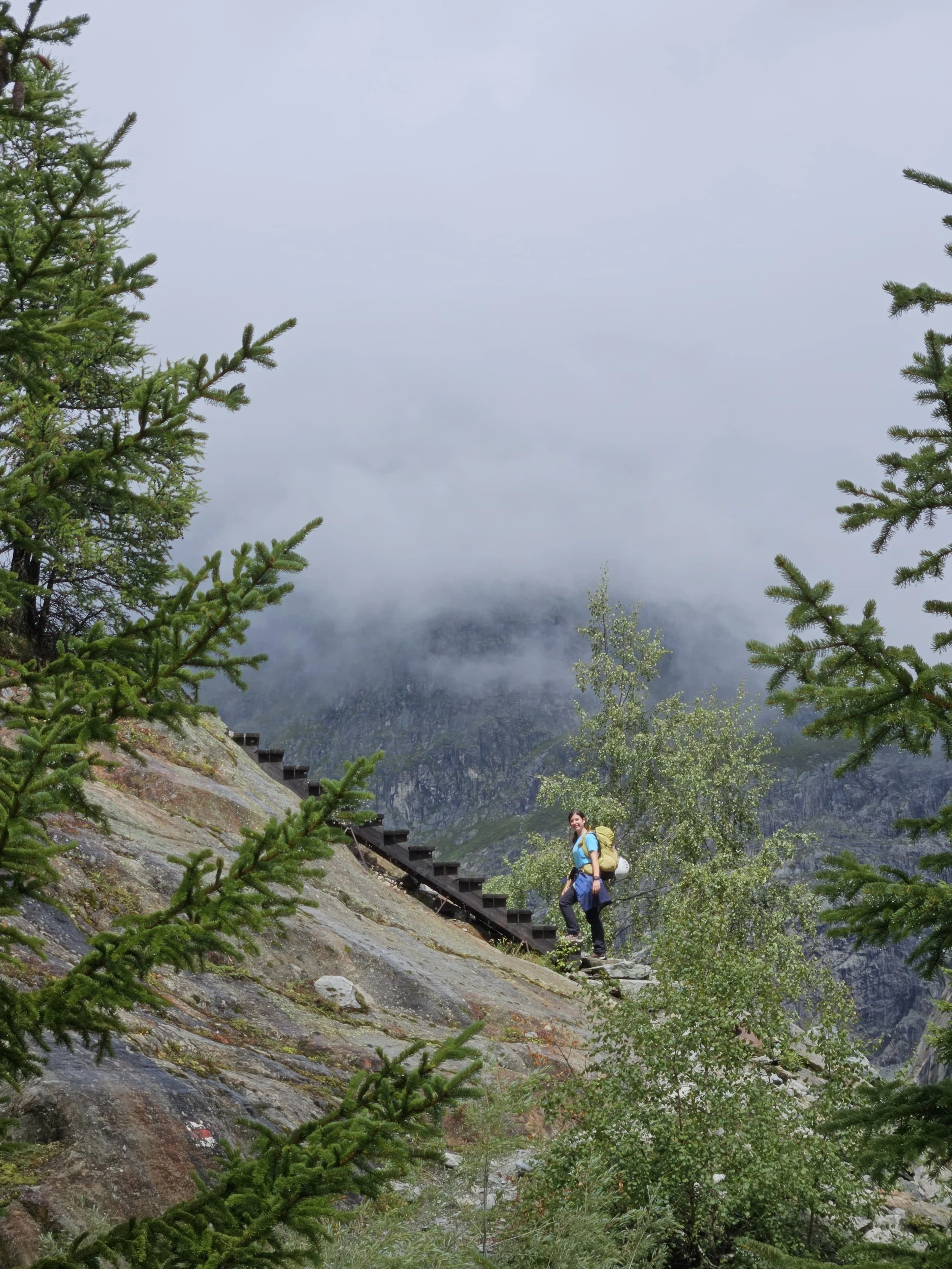 Hiker with backpack walking on mountain trail surrounded by green trees, with a misty mountain landscape in the background.