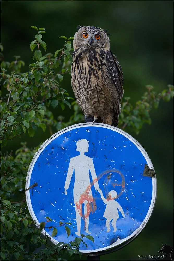 Familienanschluß_filtered.jpg