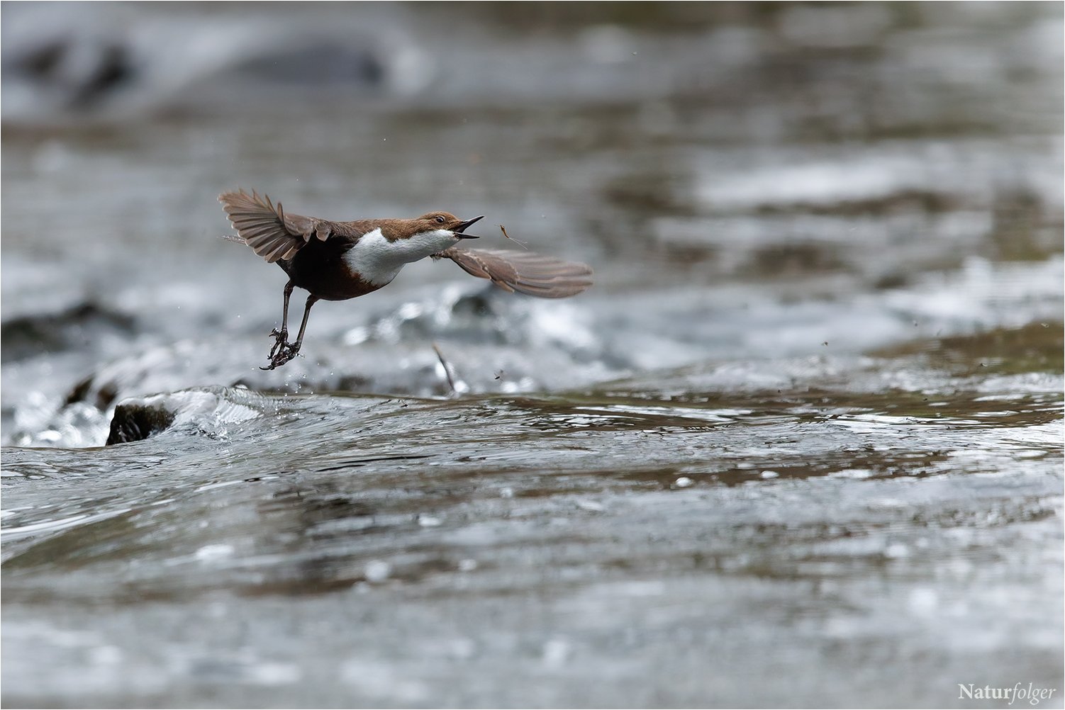 catch.jpg
