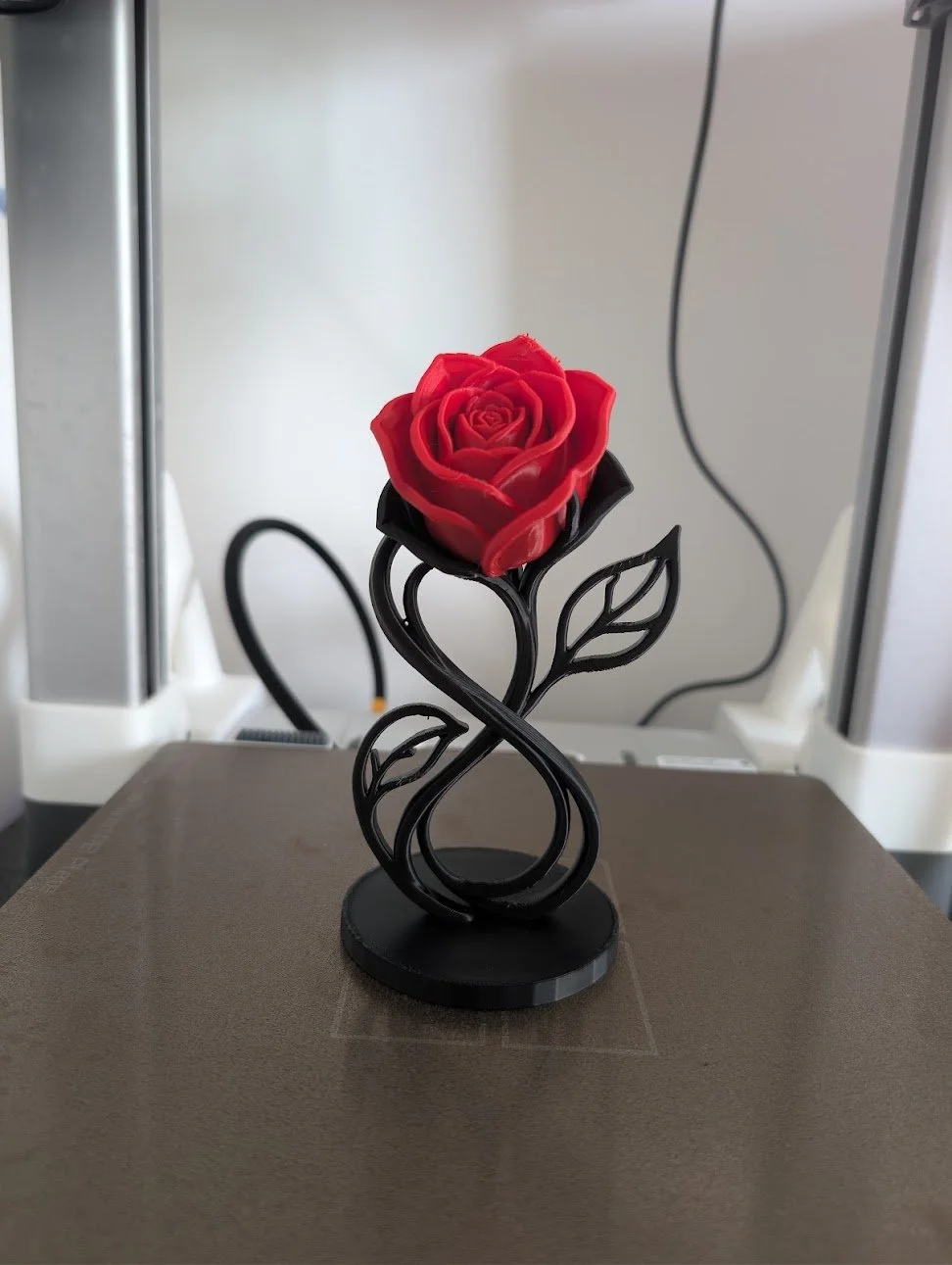 PXL_20260829_171315958.RAW-01.COVER.jpg