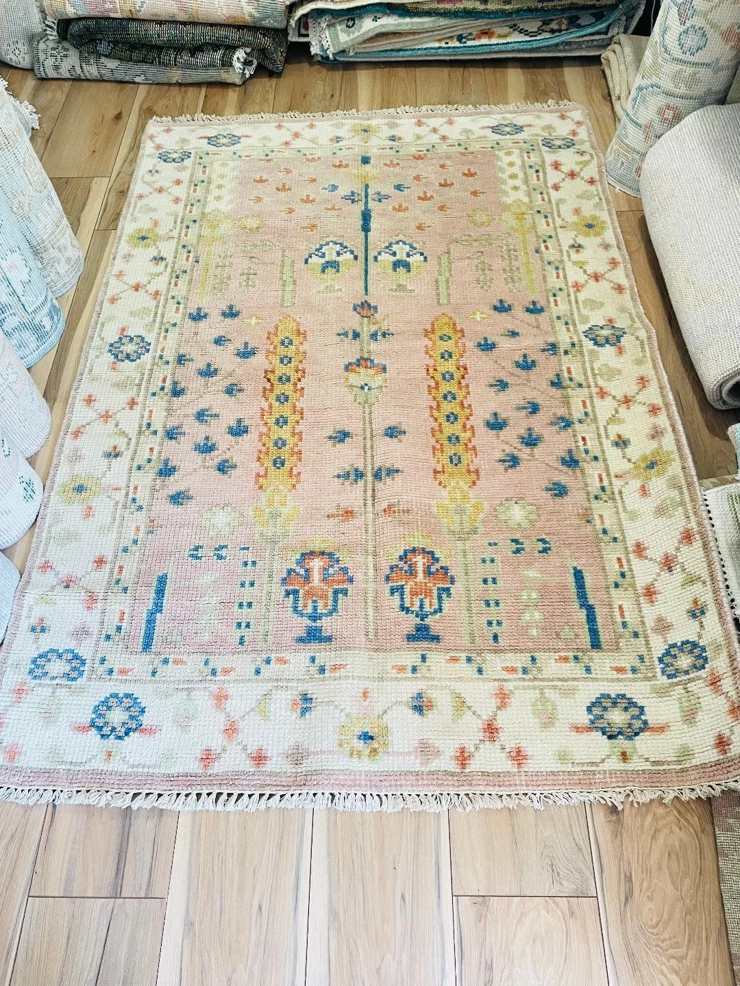 thumbnail (5).jpg