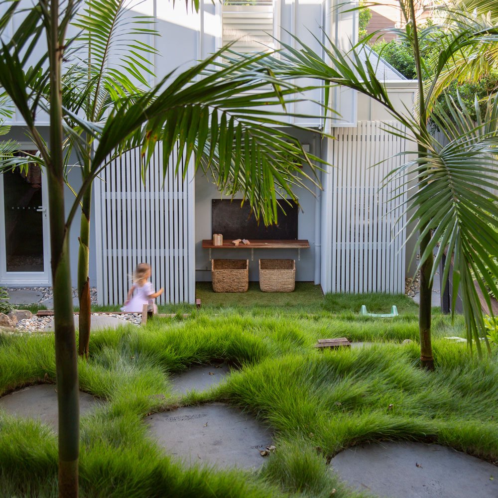 Archonotophoenix cunninghamiana: Bangalow Palm — elegant fast‑growing palm with arching fronds, ideal for creating lush subtropical canopy in SEQ gardens.