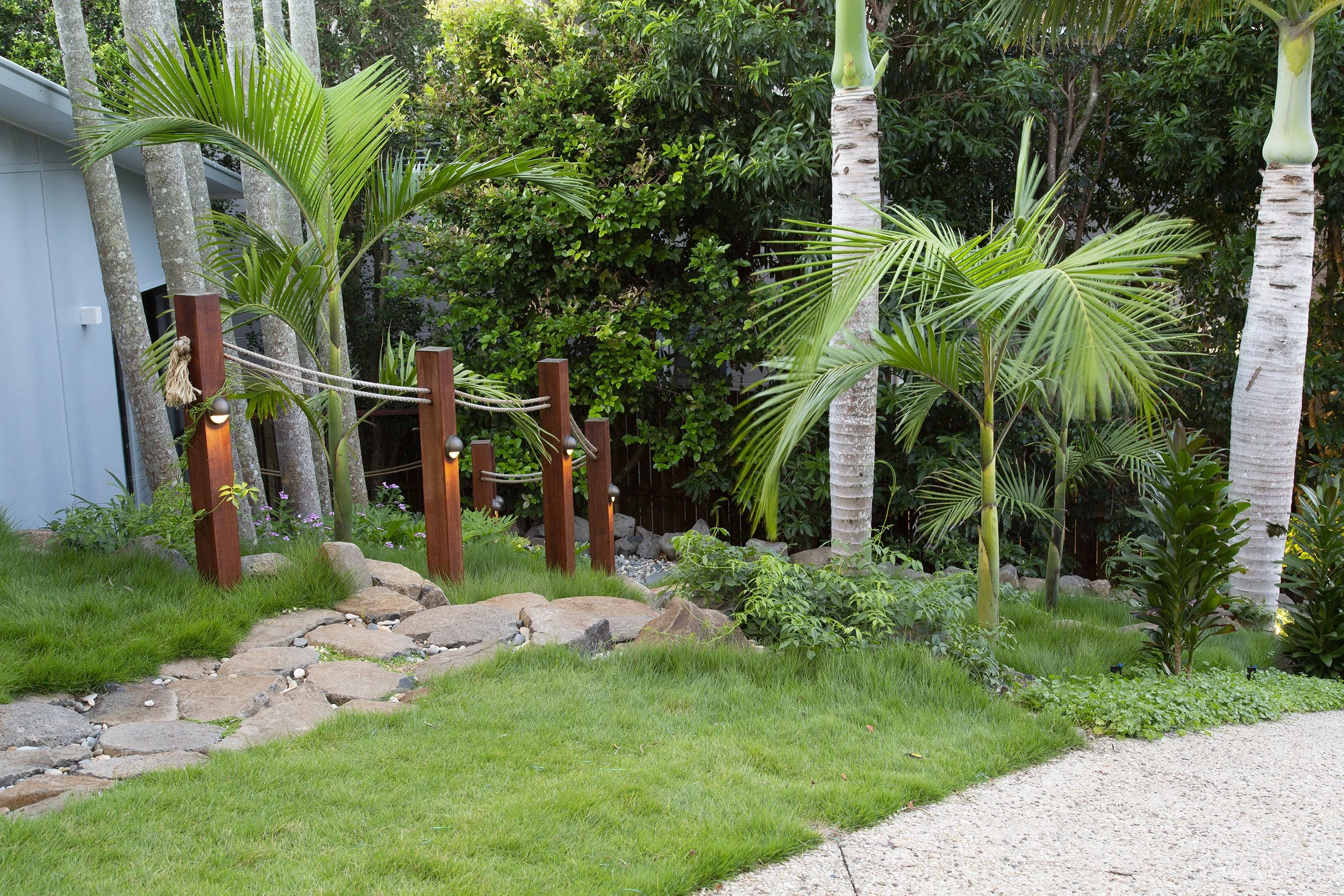 Archonotophoenix cunninghamiana: Bangalow Palm — elegant fast‑growing palm with arching fronds, ideal for creating lush subtropical canopy in SEQ gardens.