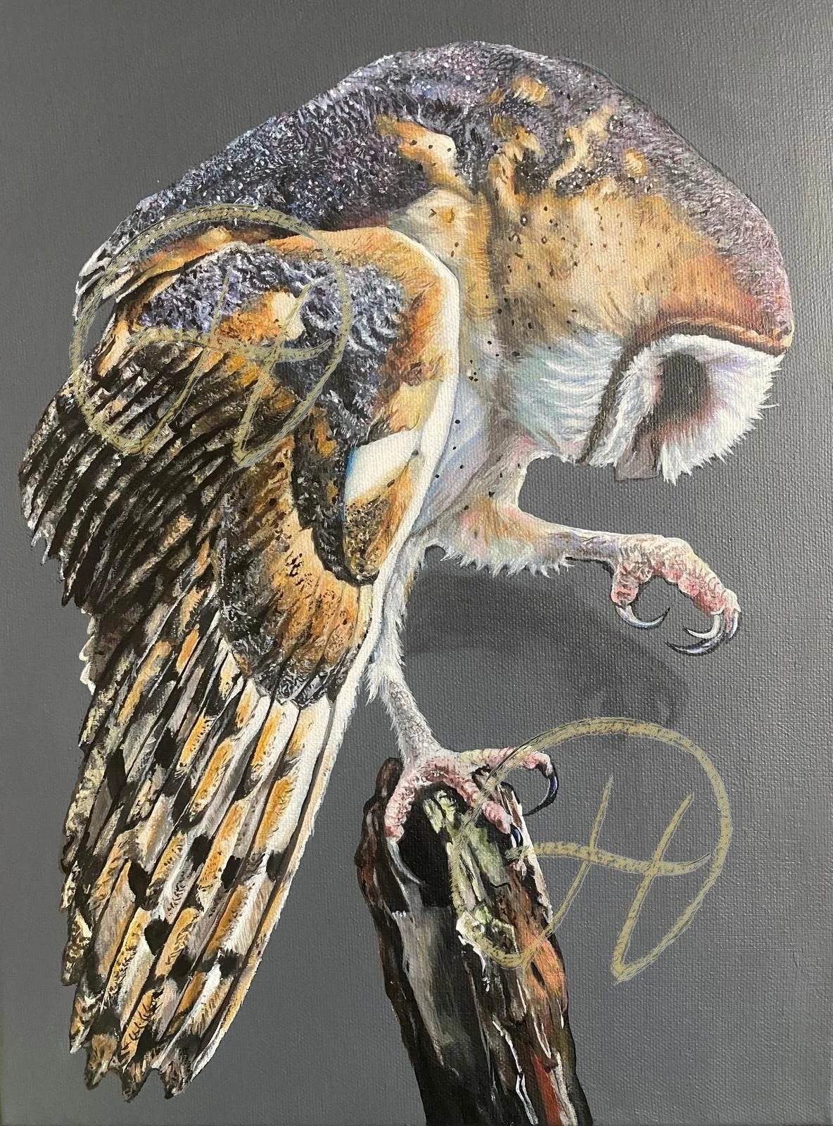 Barn Owl