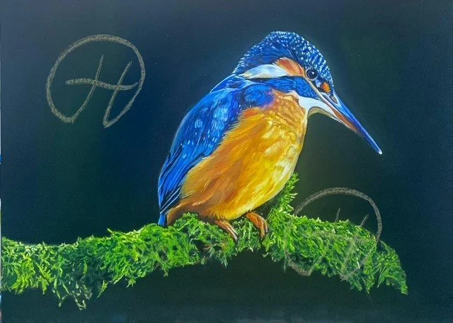 Kingfisher