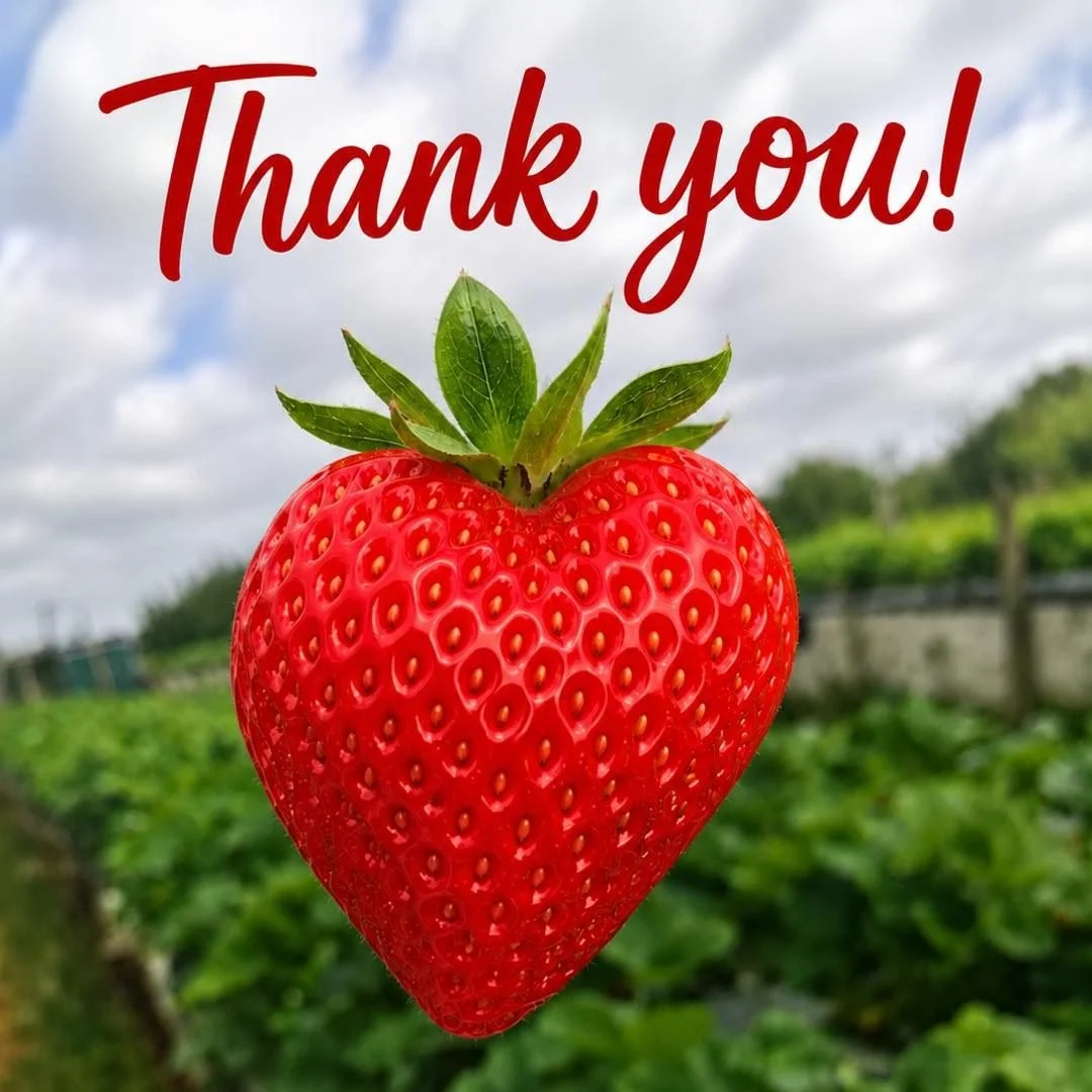 Just a little thank you ❤️

We just wanted to say a massive thank you to all our lovely customers who are always honest, respectful and supportive. ❤️

We&rsquo;ve had a few issues lately with some customers picking produce and not being completely h