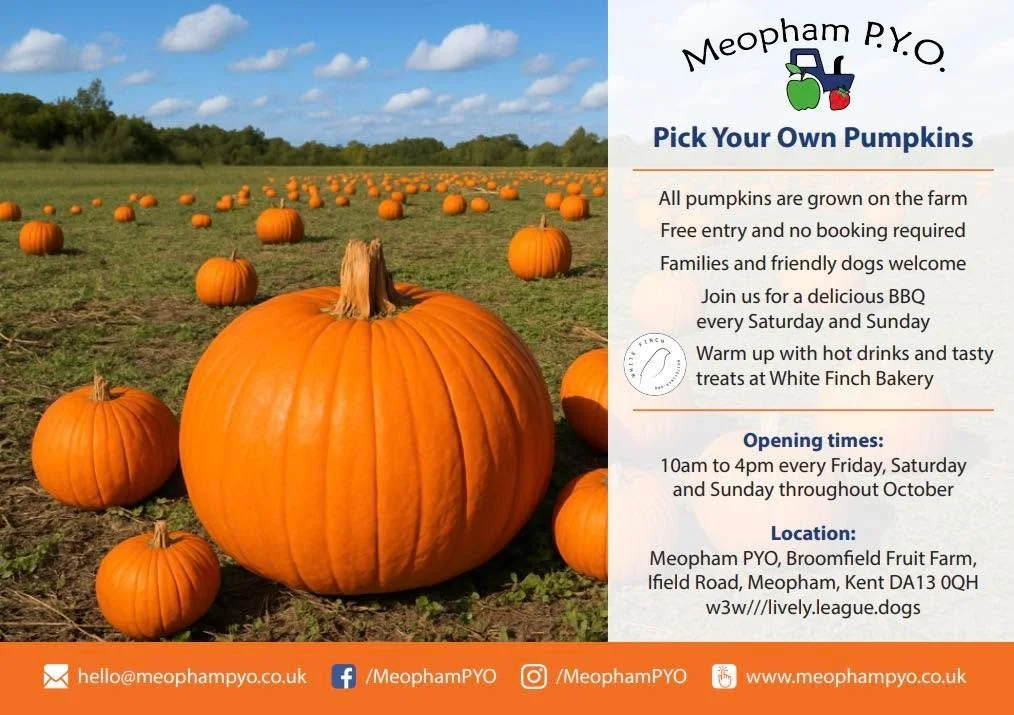 🎃 MEOPHAM PYO PUMPKIN PICKING 2026 🎃

📆 Open 10am to 4pm every Friday, Saturday and Sunday from 2nd to 31st October.

✅ It&rsquo;s free to come onto the farm; there&rsquo;s no need to book and everything you pick is charged at a price per kg.

Our