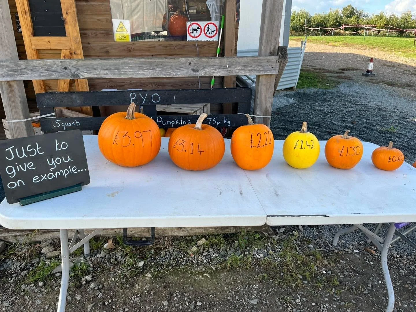 We&rsquo;re often asked about our pumpkin prices, so here&rsquo;s how it works! 🧡

🎃 FREE entry
🎃 No booking required
🎃 Just 75p per kg!

You&rsquo;ll find small pumpkins for less than &pound;1, and a decent carving pumpkin for under &pound;4! 🎃