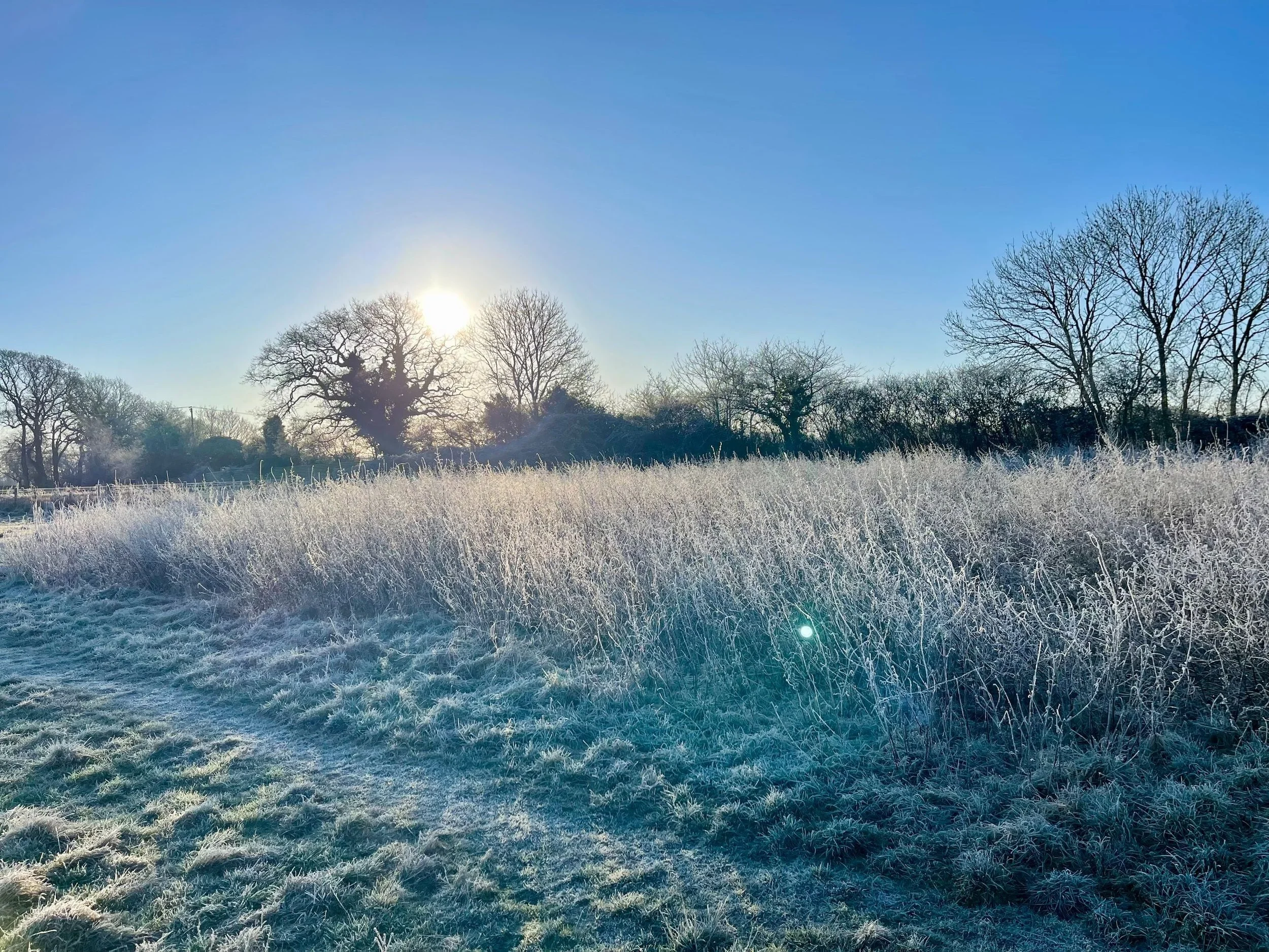 Winter &amp; the Kidneys: Supporting Your Body's Deepest Reserves