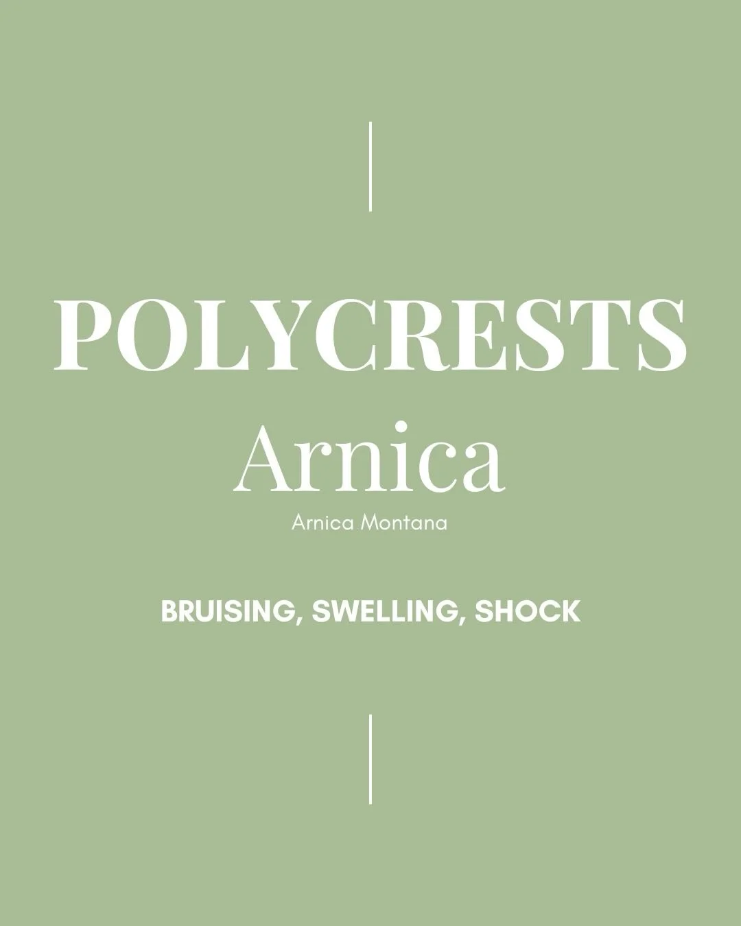 REMEDY OF THE MONTH | Arnica

This month we&rsquo;re talking about the polycrest, Arnica&hellip;

Polycrest remedies are a group of widely used medicines capable of treating a broad spectrum of mental, emotional, and physical symptoms.

Arnica is a b