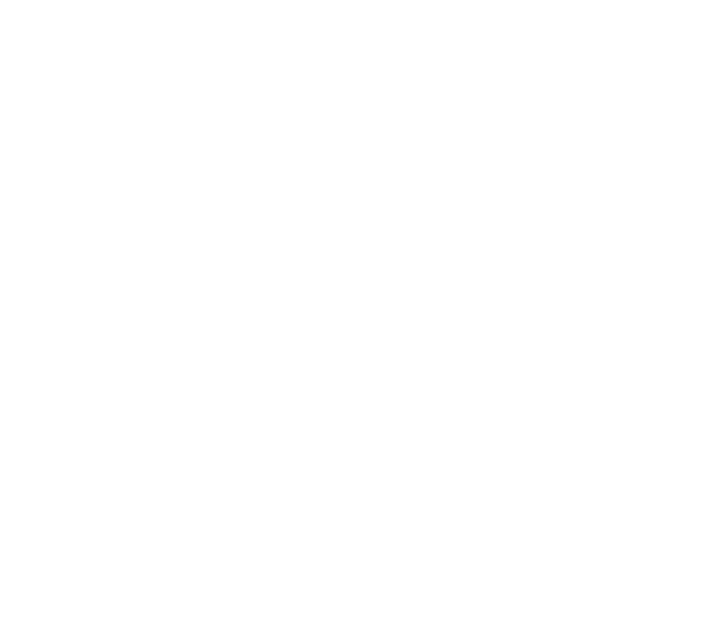 Sophia Patzelt Pferdetraining