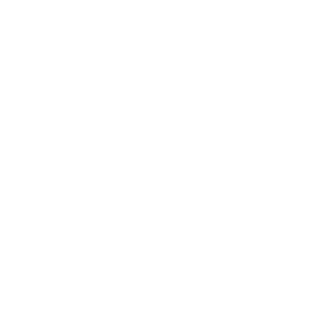 Sophia Patzelt Pferdetraining