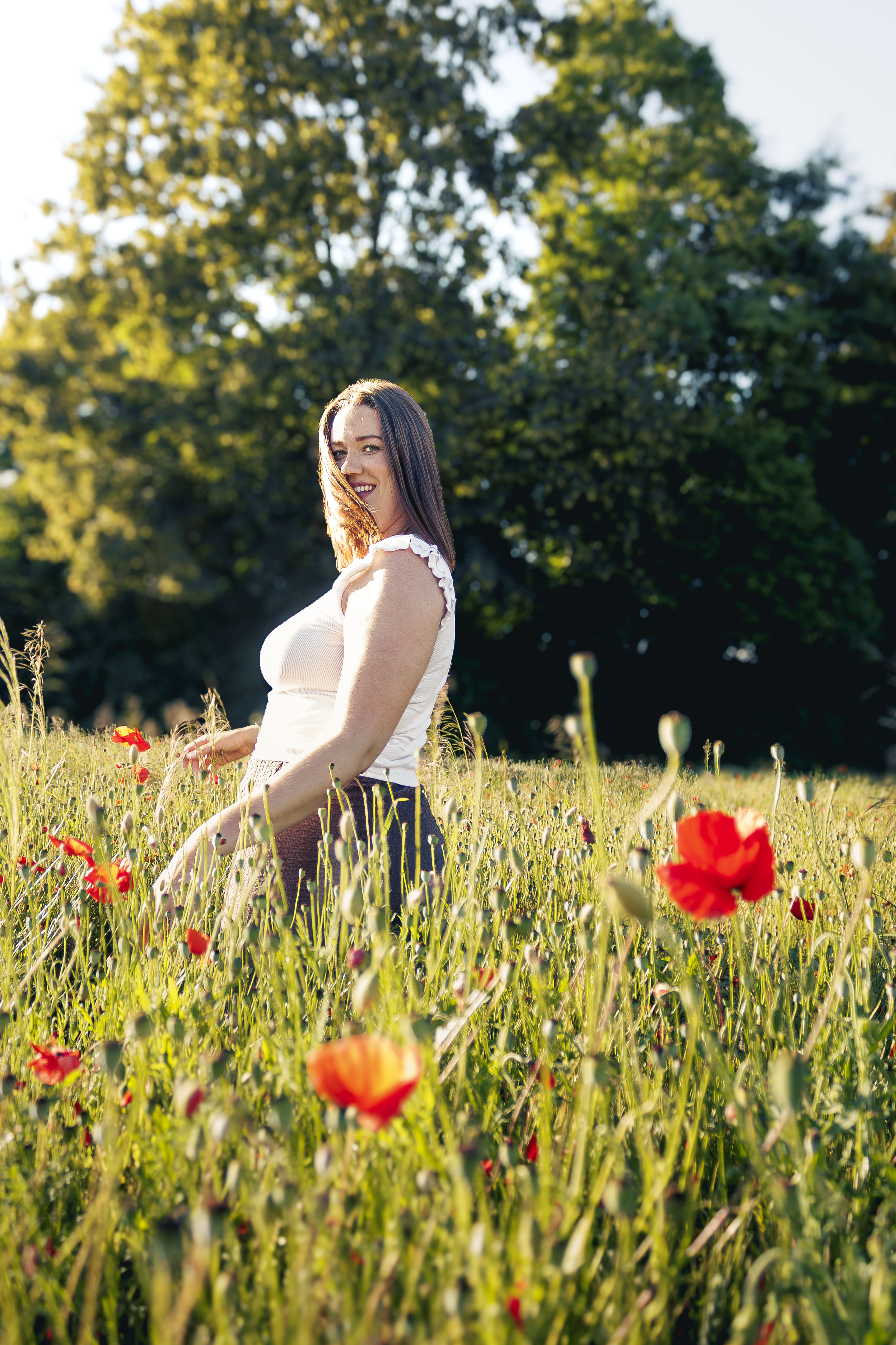 Junge Frau sitzt in einem Feld mit roten Mohnblumen unter einem großen Baum, Sonnenschein, Frühlings- oder Sommerwetter.