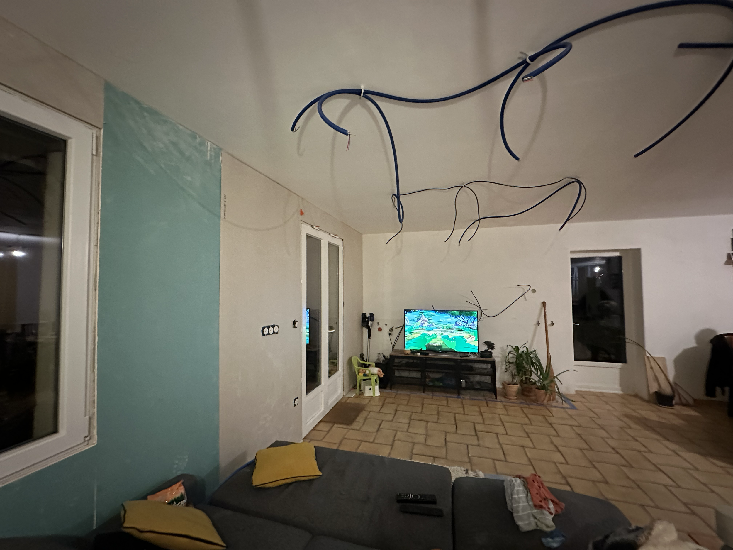 Salon avec plusieurs coussins sur un canapé gris foncé, une table basse noire, un téléviseur affichant une image colorée, et des plantes d'intérieur, dans une pièce avec murs blanc et vert indications de travaux en cours.