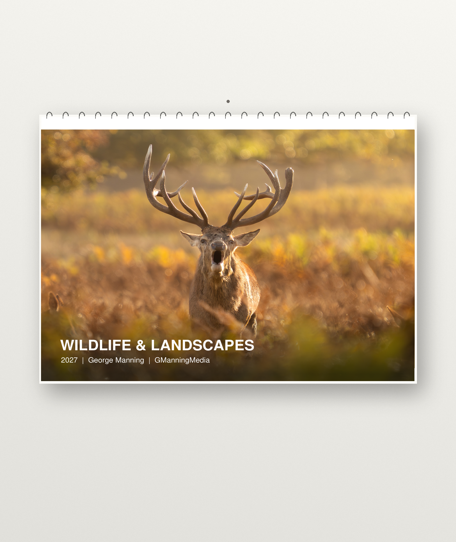 2027 Calendar