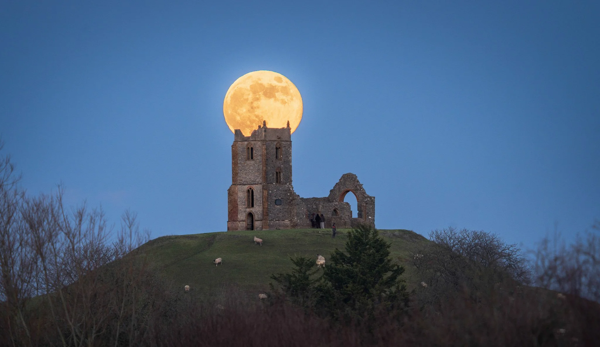 A Magical Moon