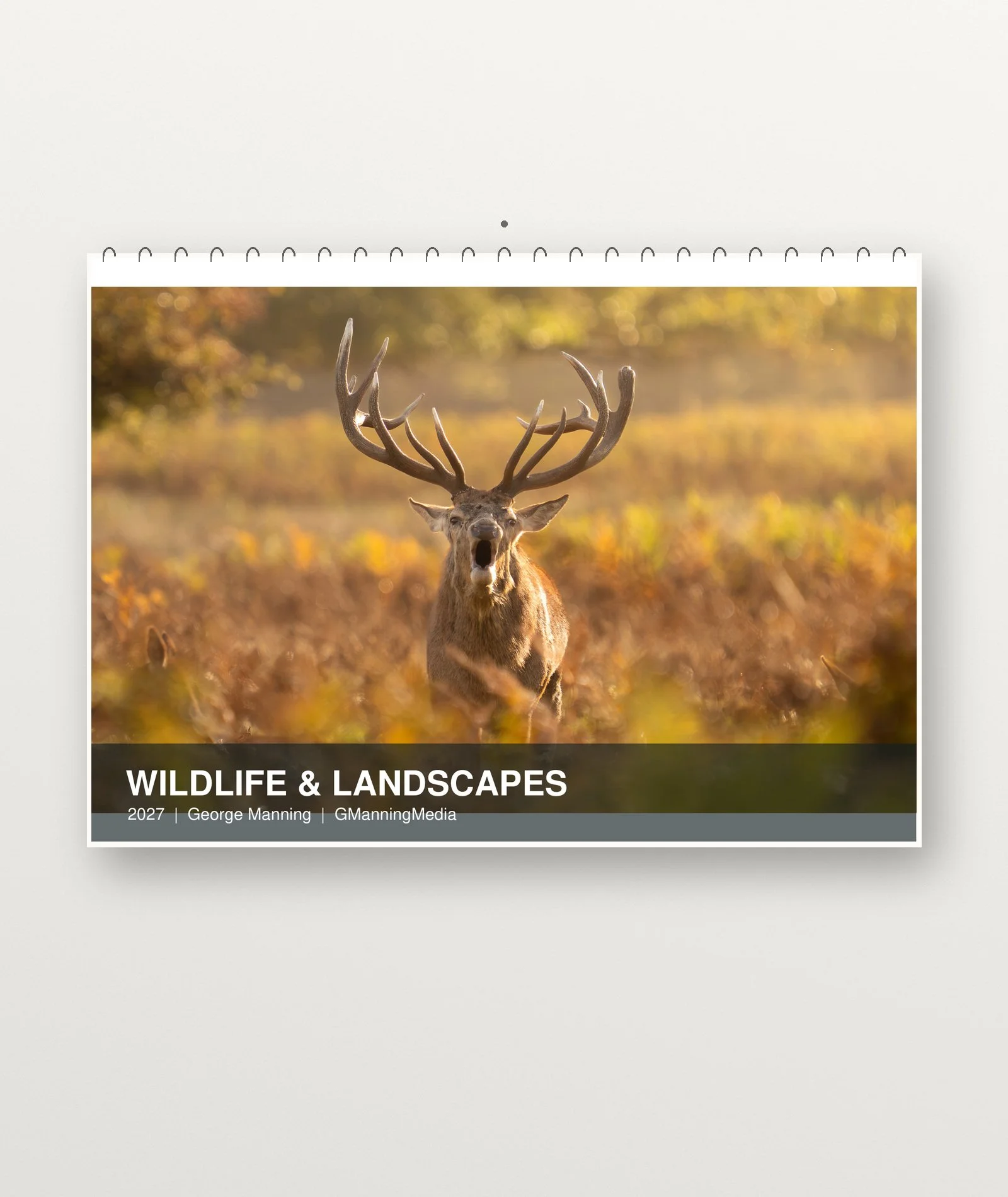 GManningMedia_2027_Original_Cover_Wall_Mockup.jpg