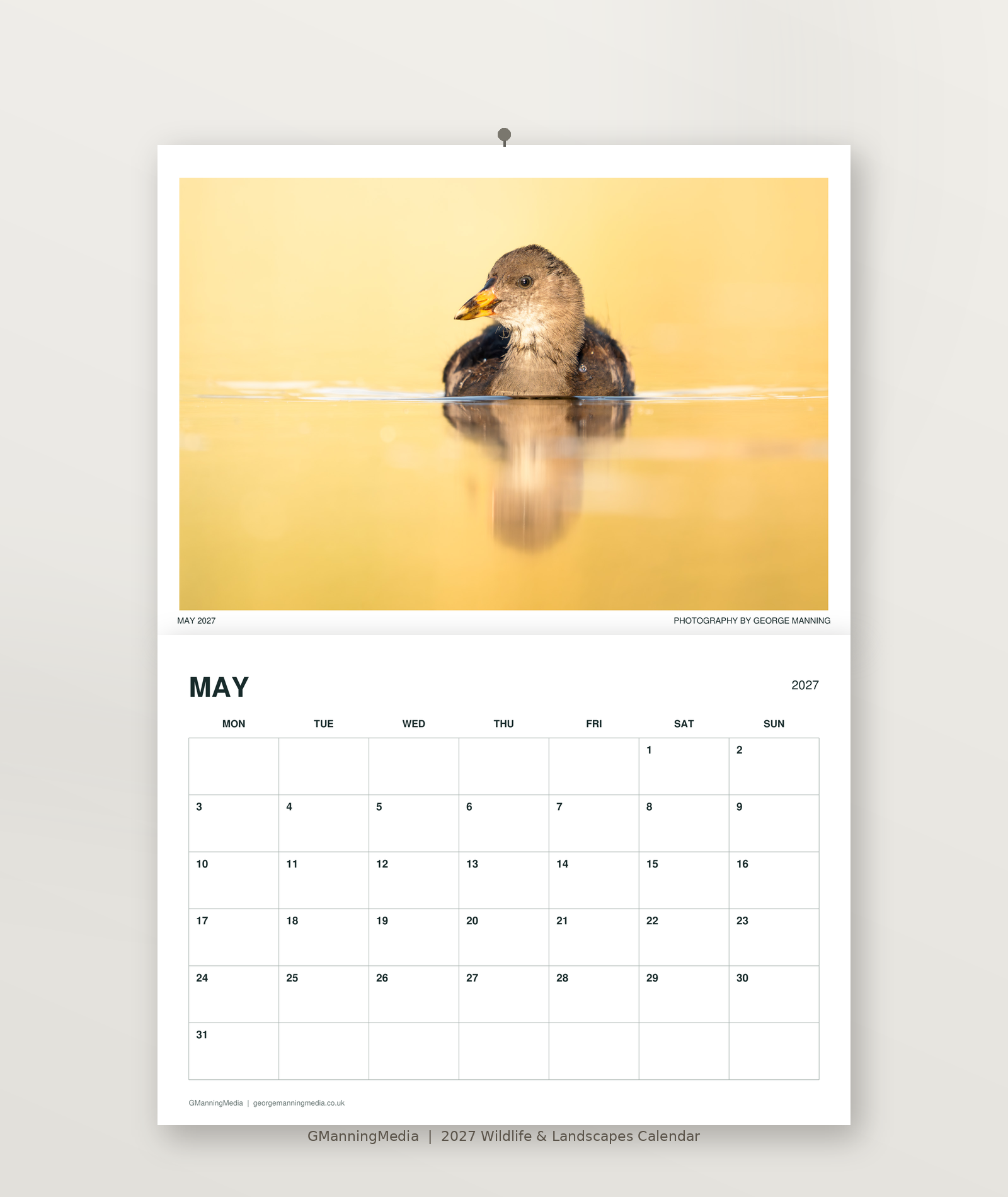 05_May_Website.png