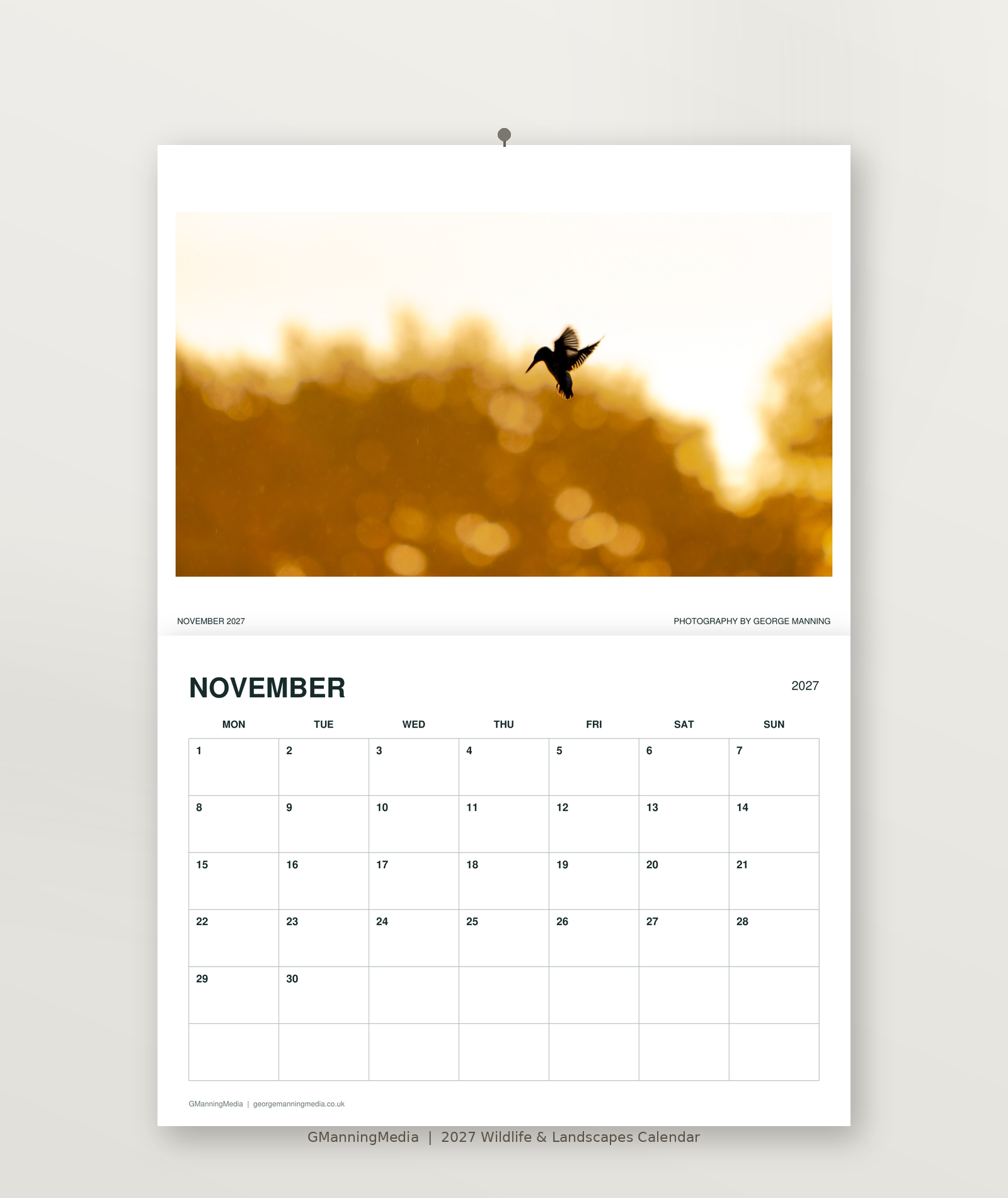 11_November_Website.png