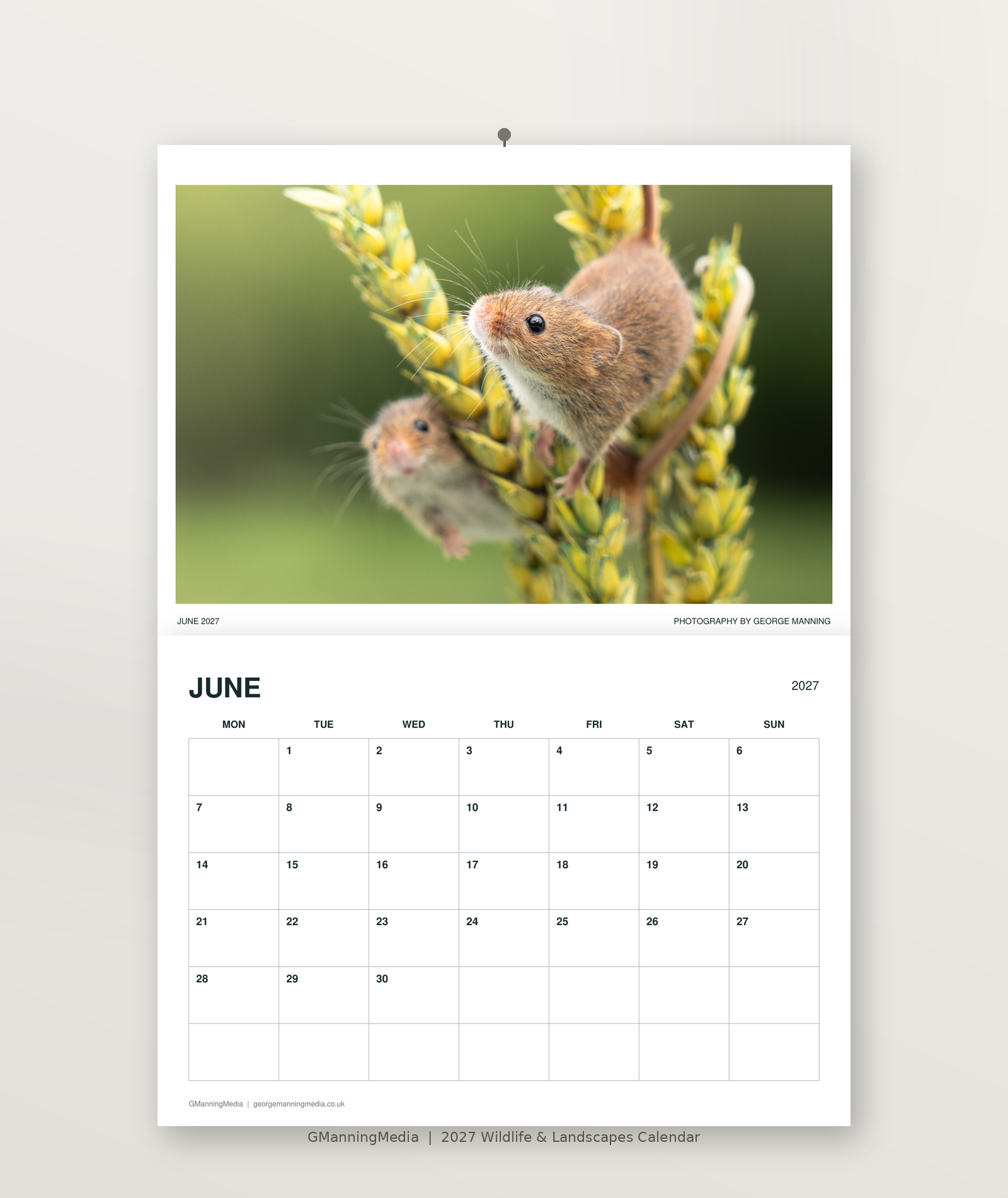 06_June_Website.png