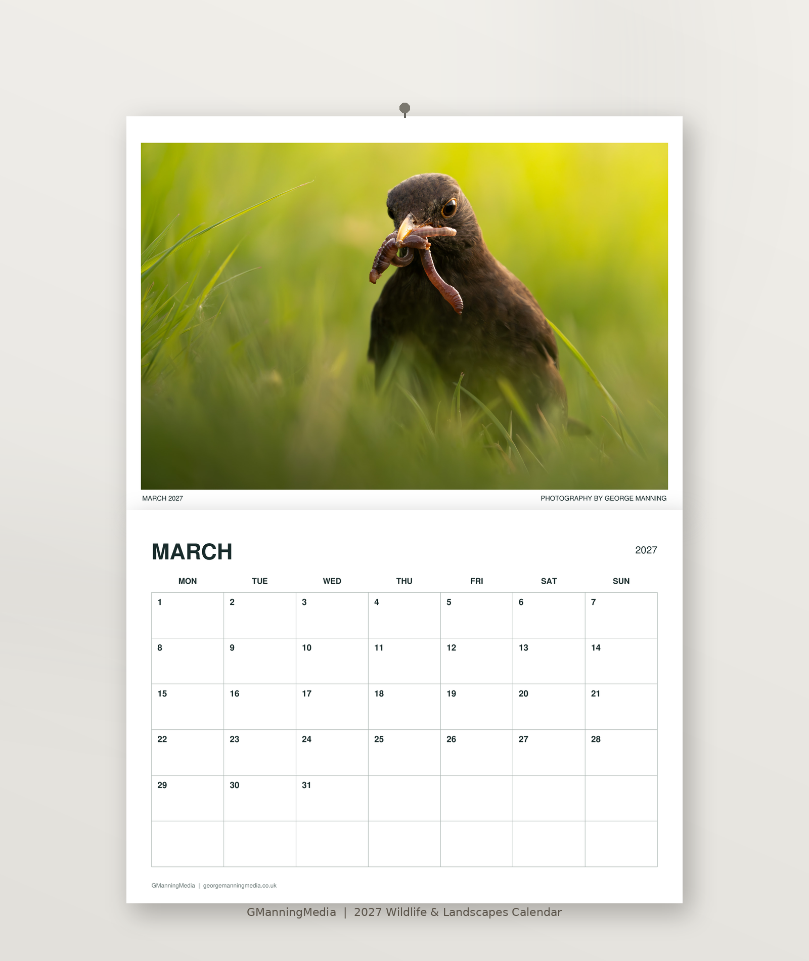 03_March_Website.png