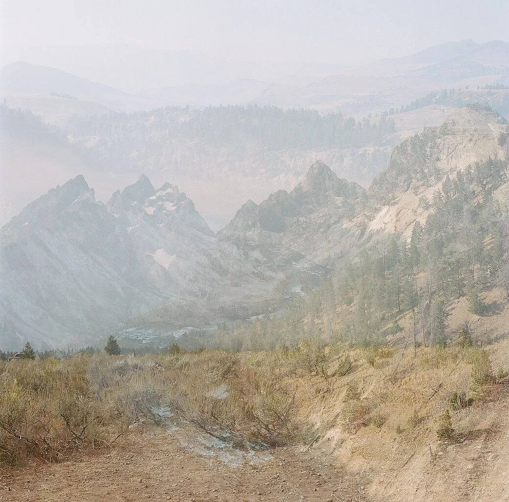 Yellowstone_Blad.jpg