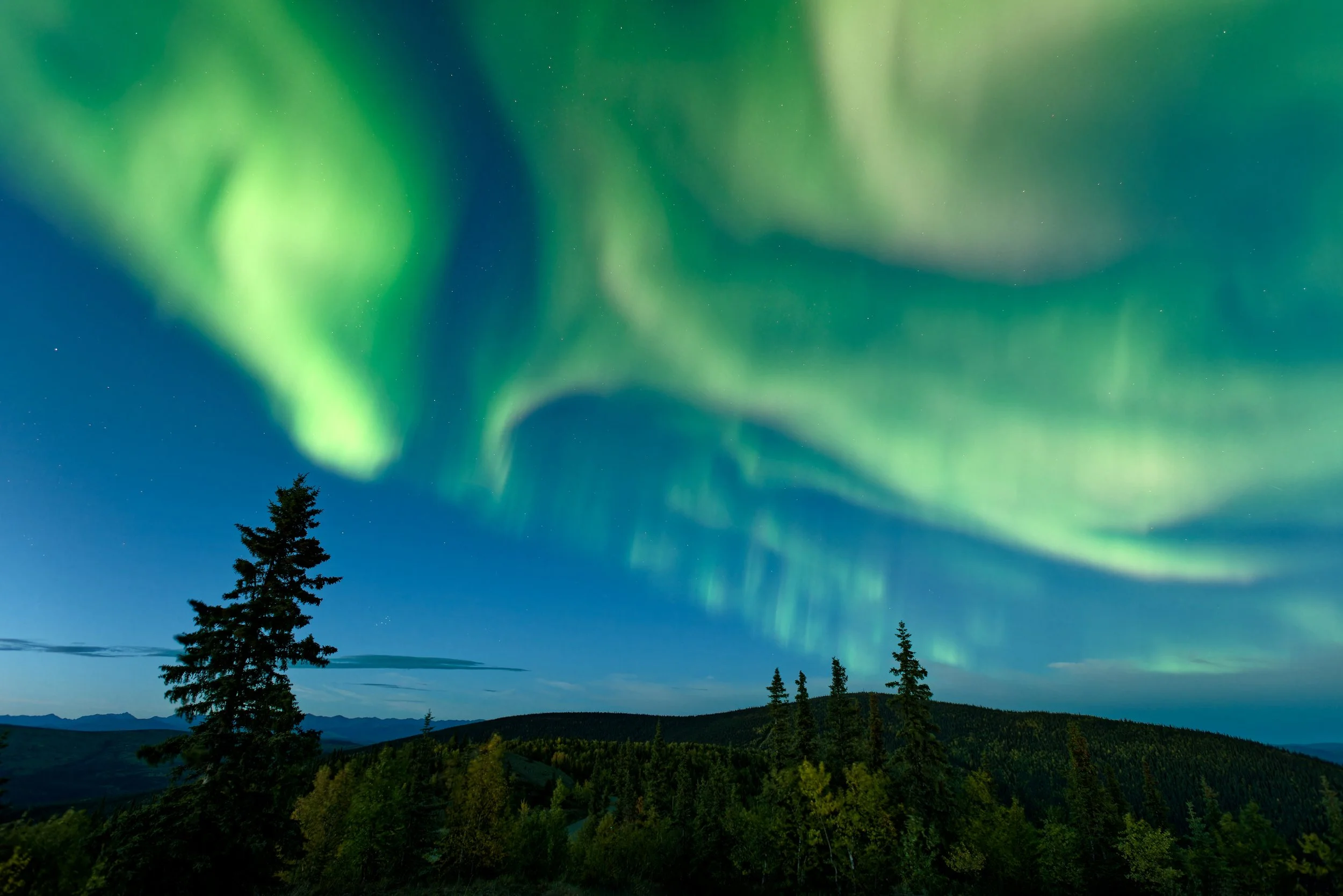 Northern lights (aurora borealis) over a landscape with trees and mountains at night.
