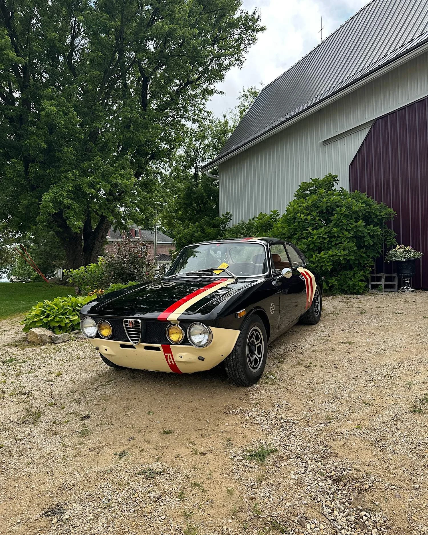 A black Alfa Romeo GTV with red and cream racing stripes parked on gravel beside a white barn