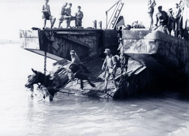 Before the occupation of the island of Corfu, October 1943.