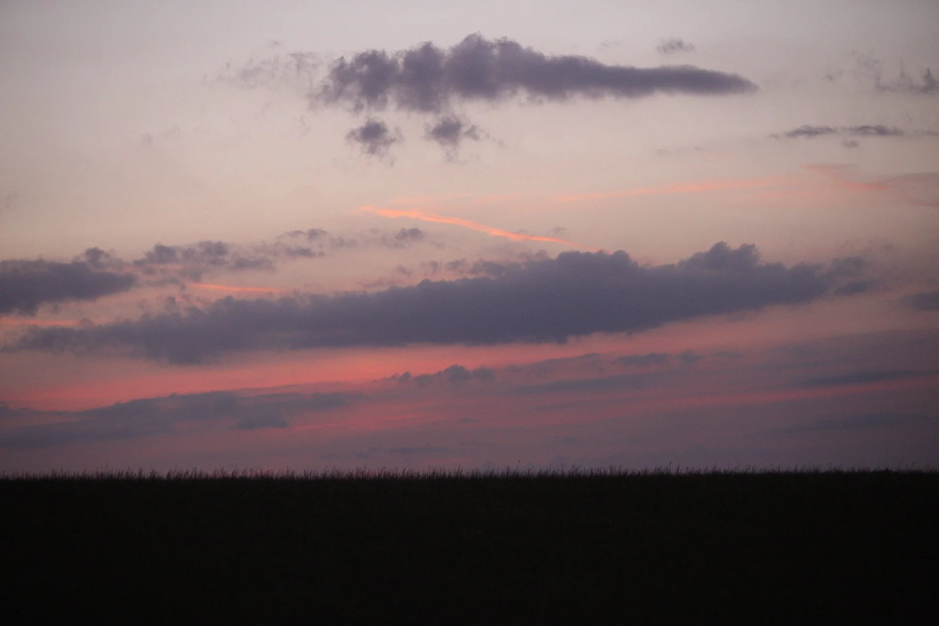 IMG_5479.jpeg