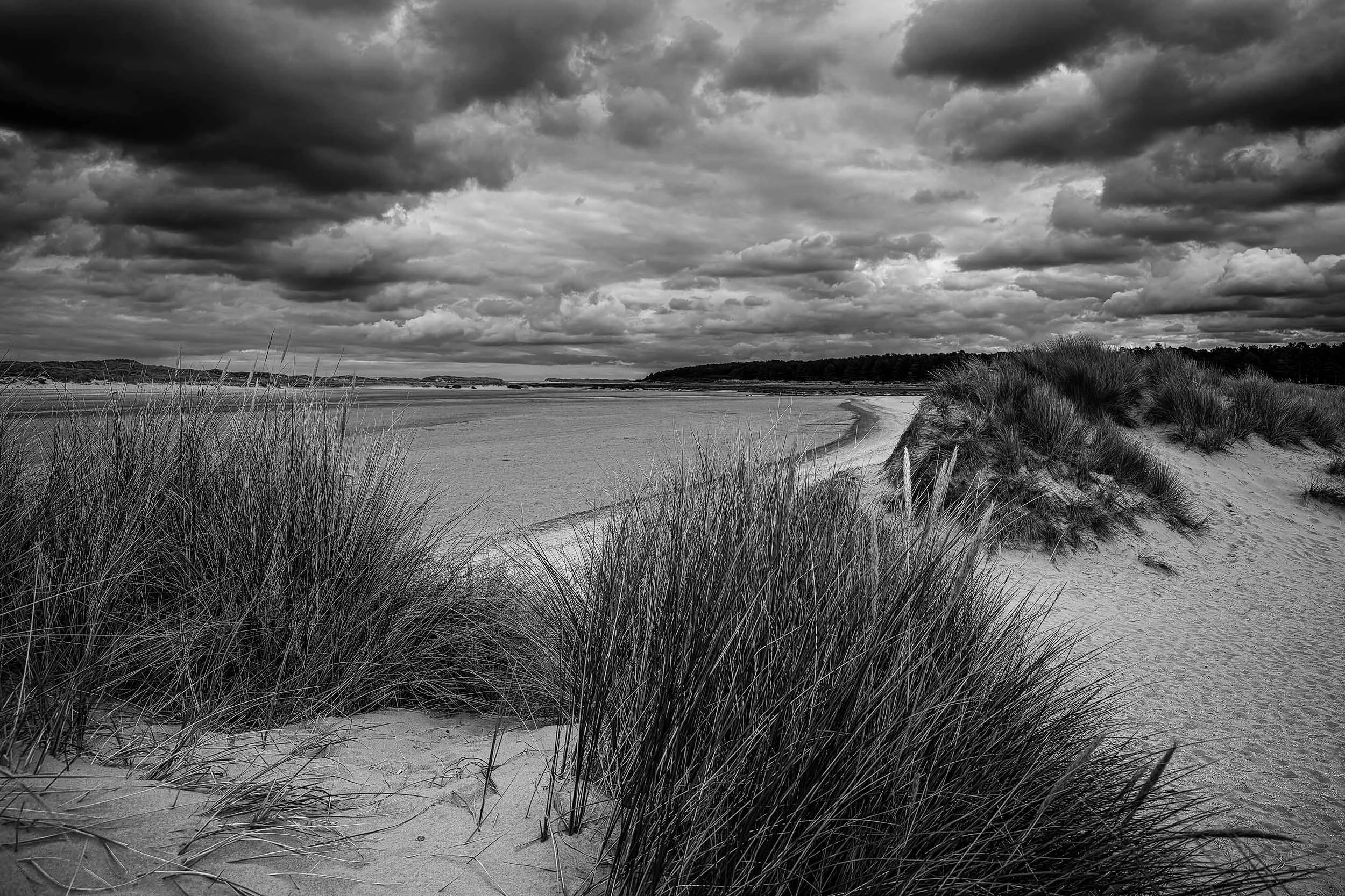 Holkham Dunes.jpg