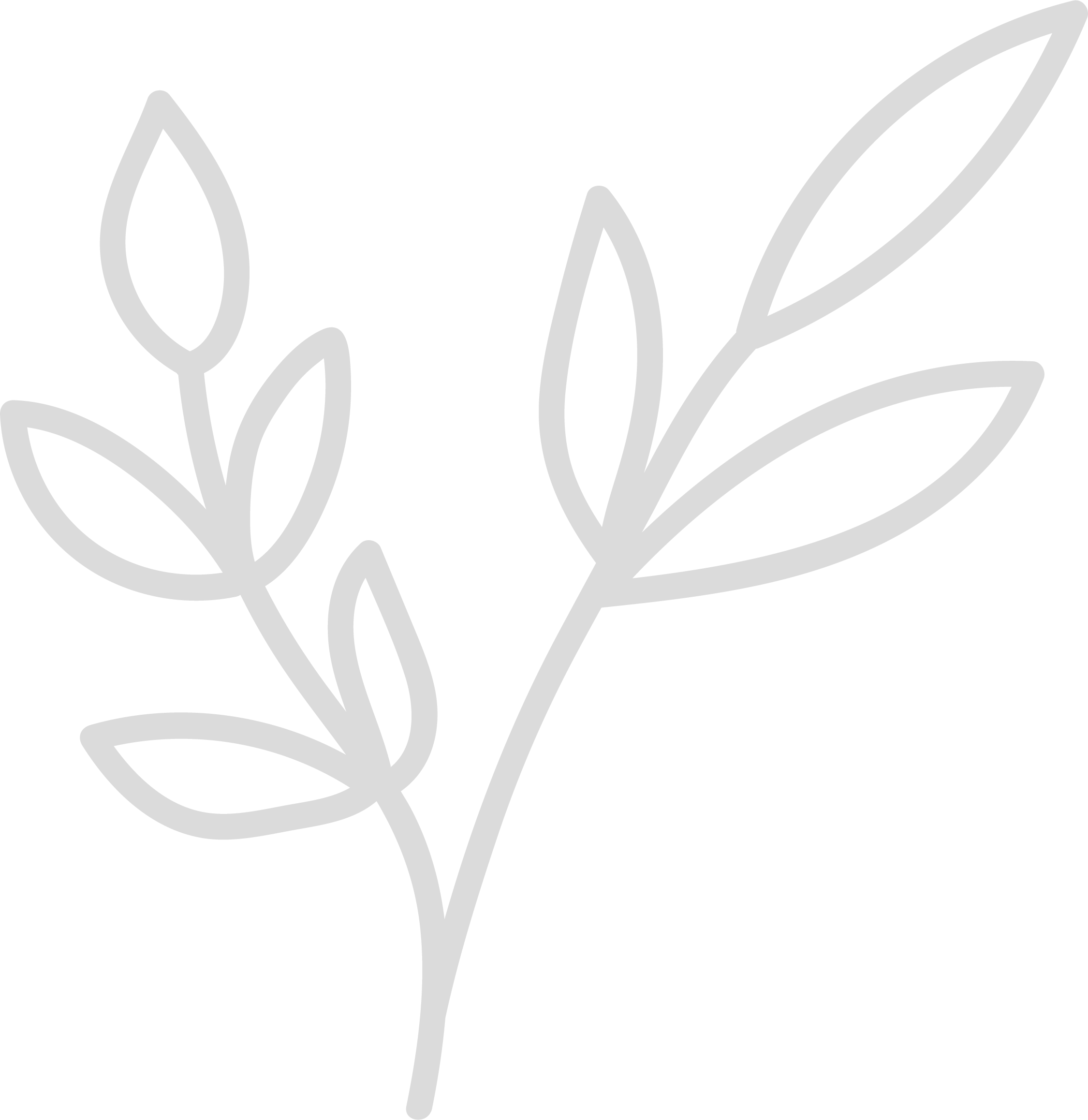 Digital line drawing of a flower with five petals and elongated leaves against a black background.