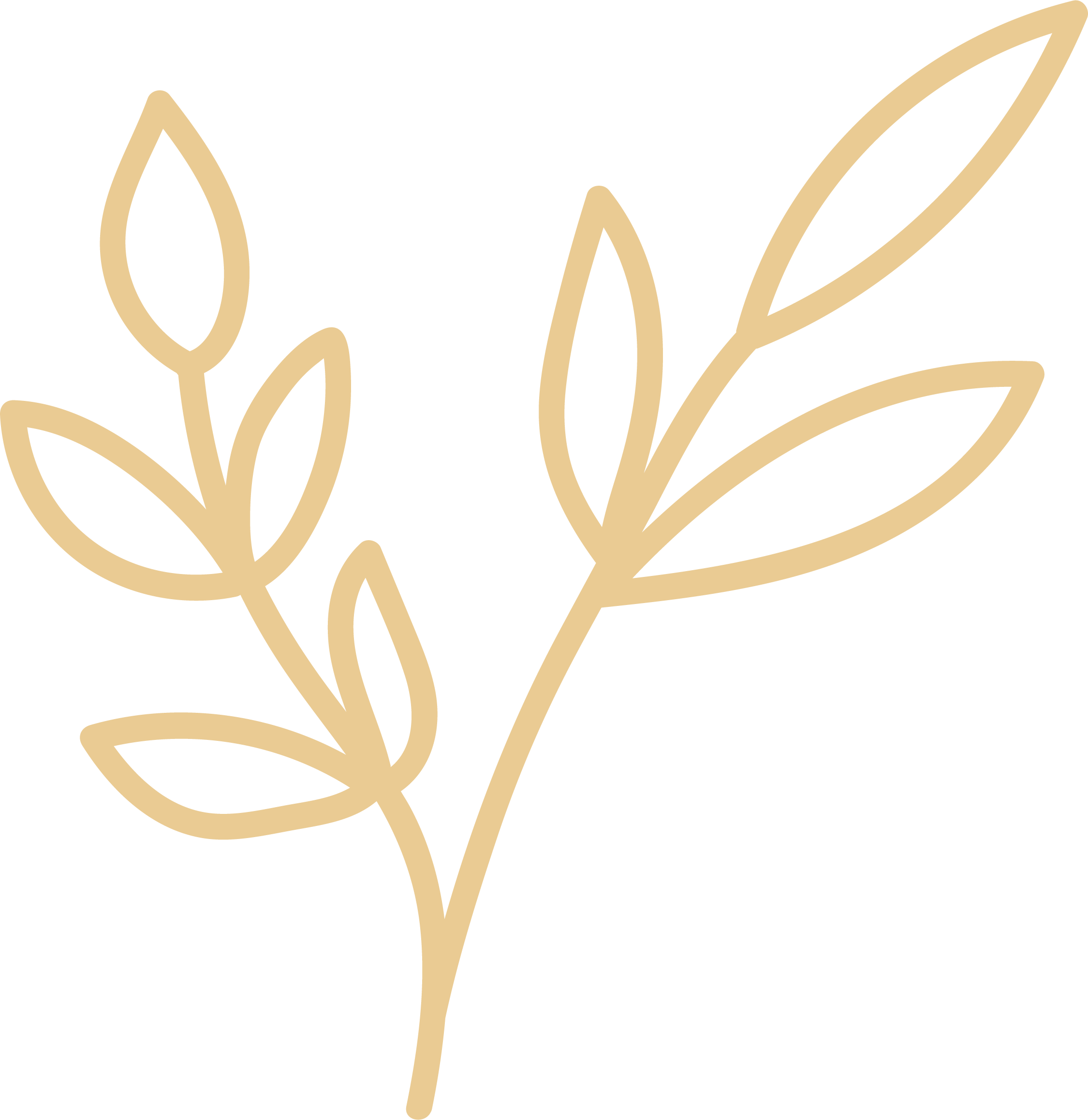 Hand-drawn illustration of a plant with multiple leaves and buds, with beige lines on a black background.