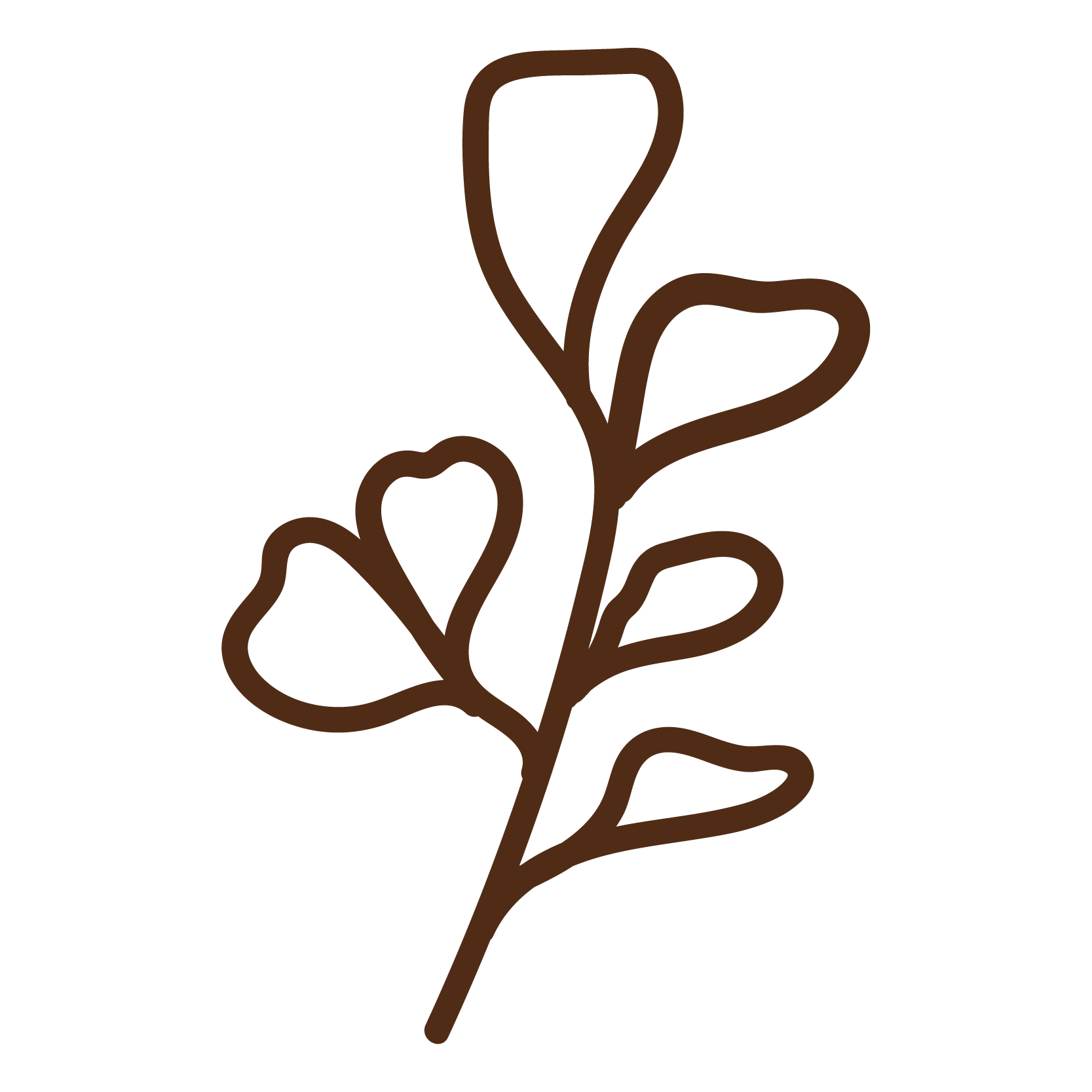 A minimalist brown line drawing of a plant or flower with multiple leaves or petals on a black background.