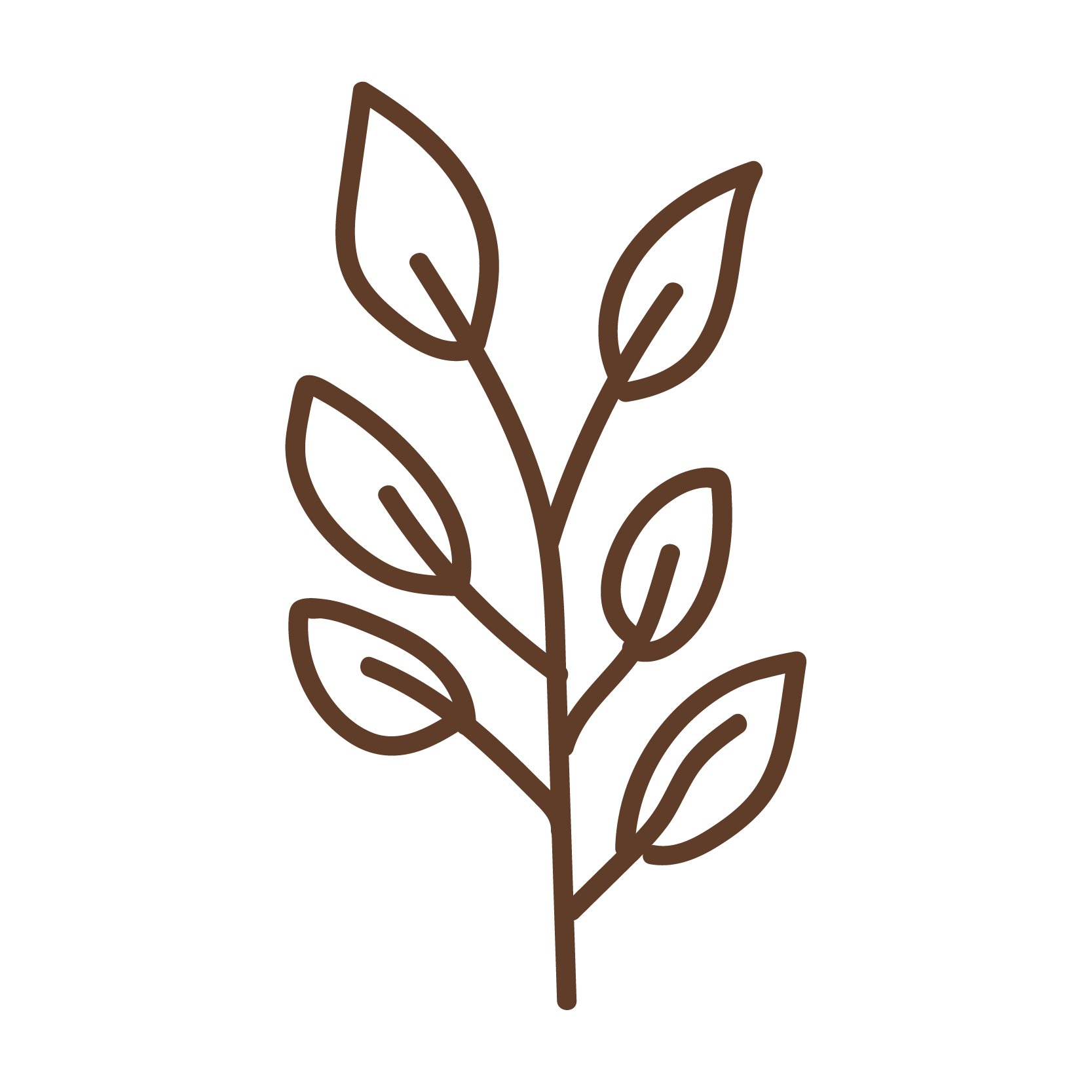 Line drawing of a plant with multiple leaves on a black background