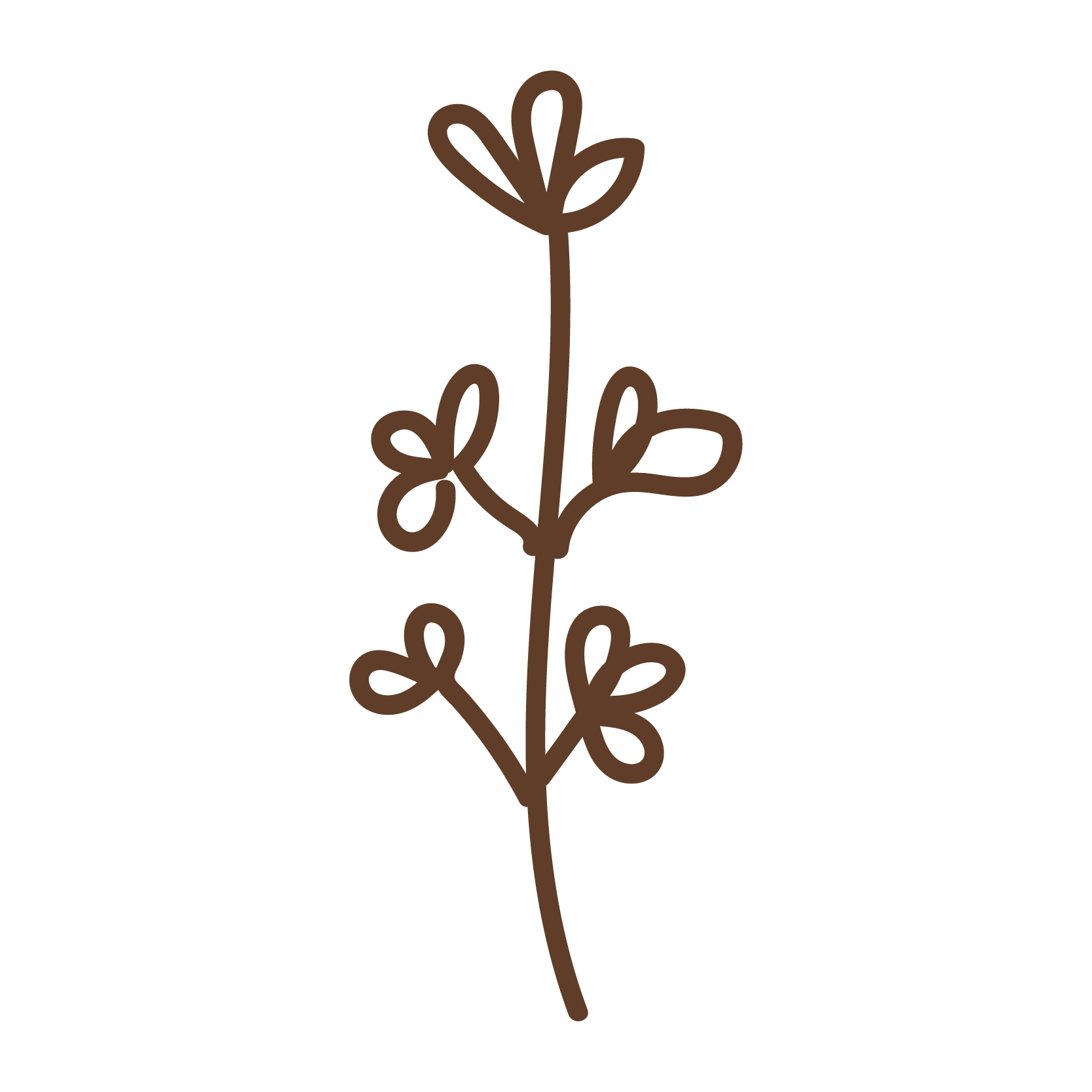 A simple line drawing of a plant with a single stem and multiple leaves, depicted in brown on a black background.