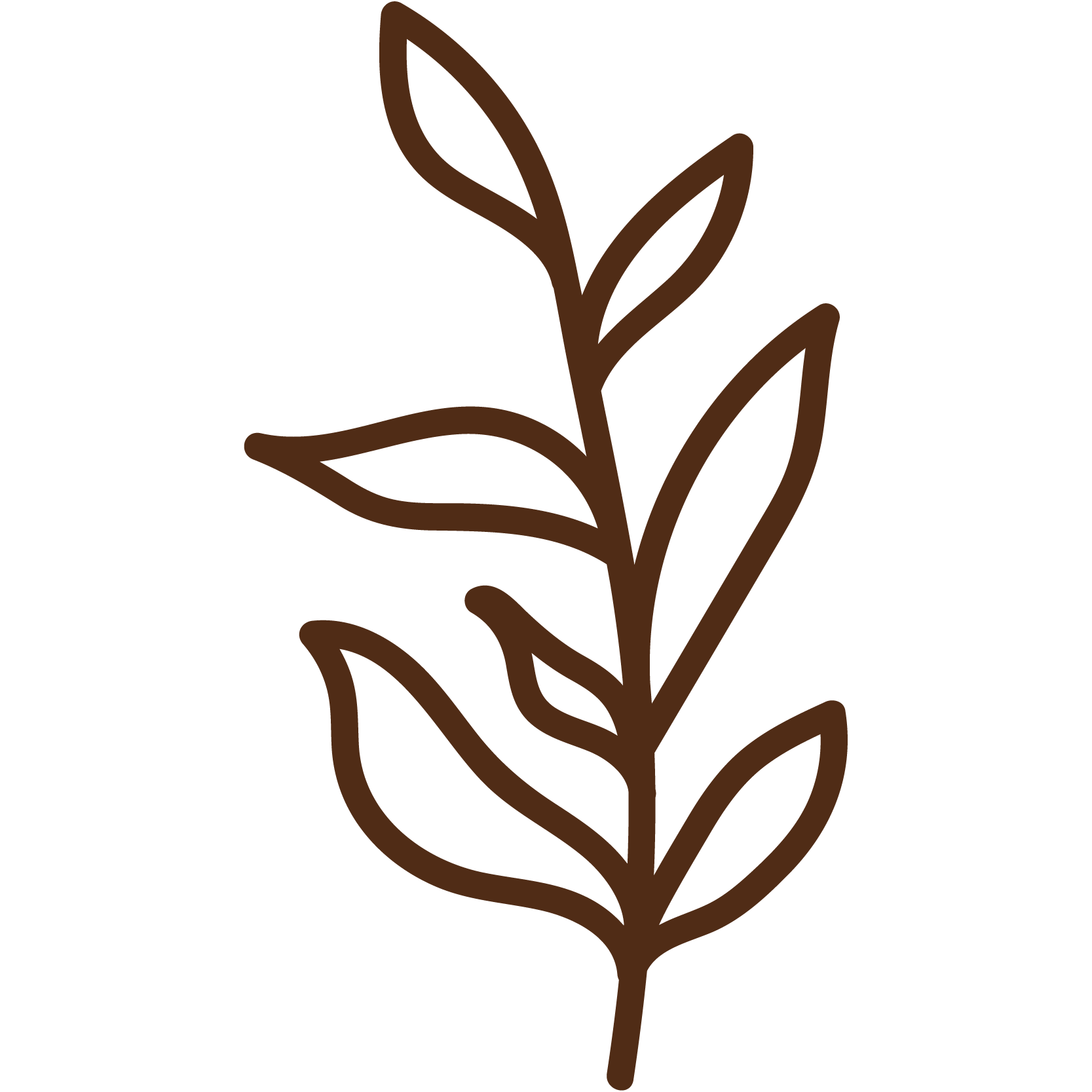 A simple brown outline of a plant with leaves.