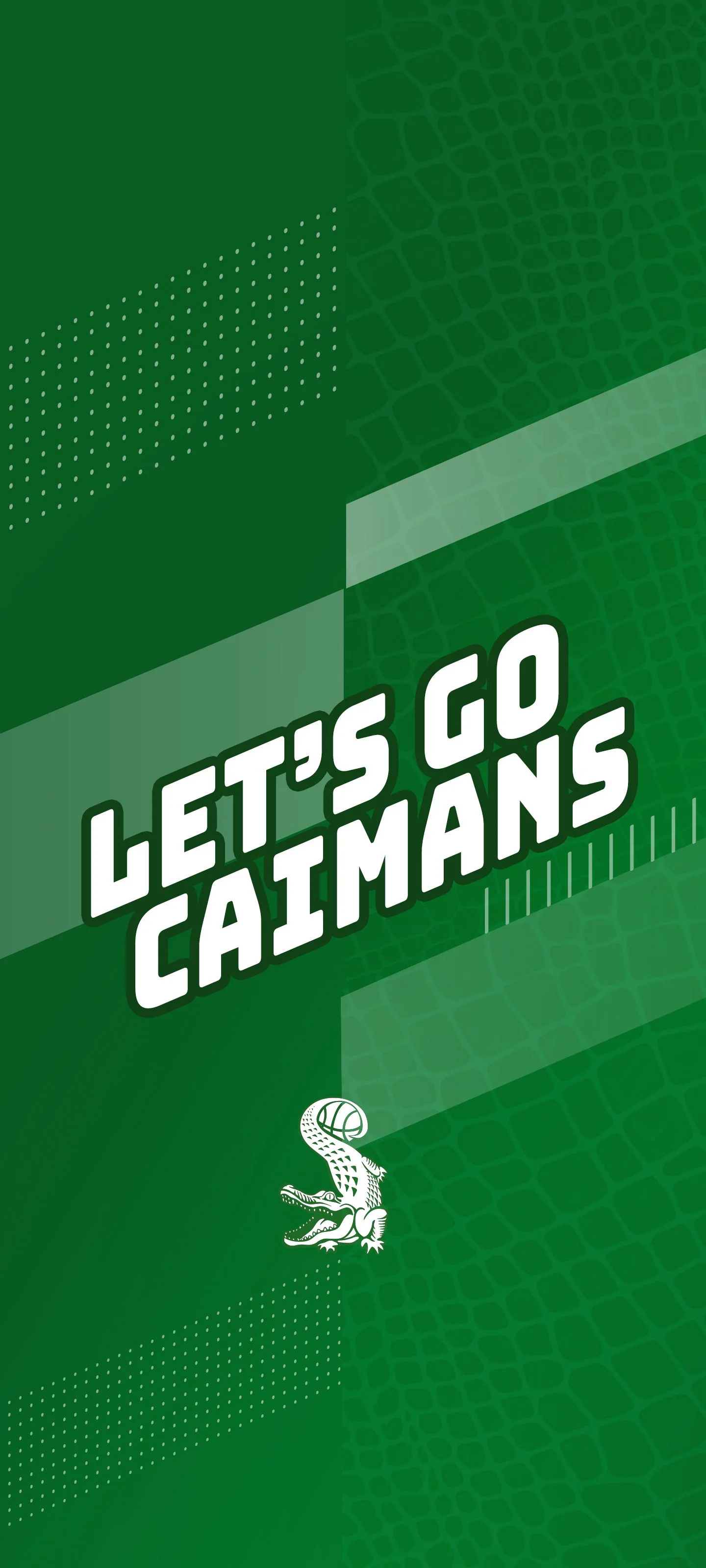 Immagine di una confezione di una pallina da tennis con il testo 'Let's Go Salmons' e un logo di un coccodrillo