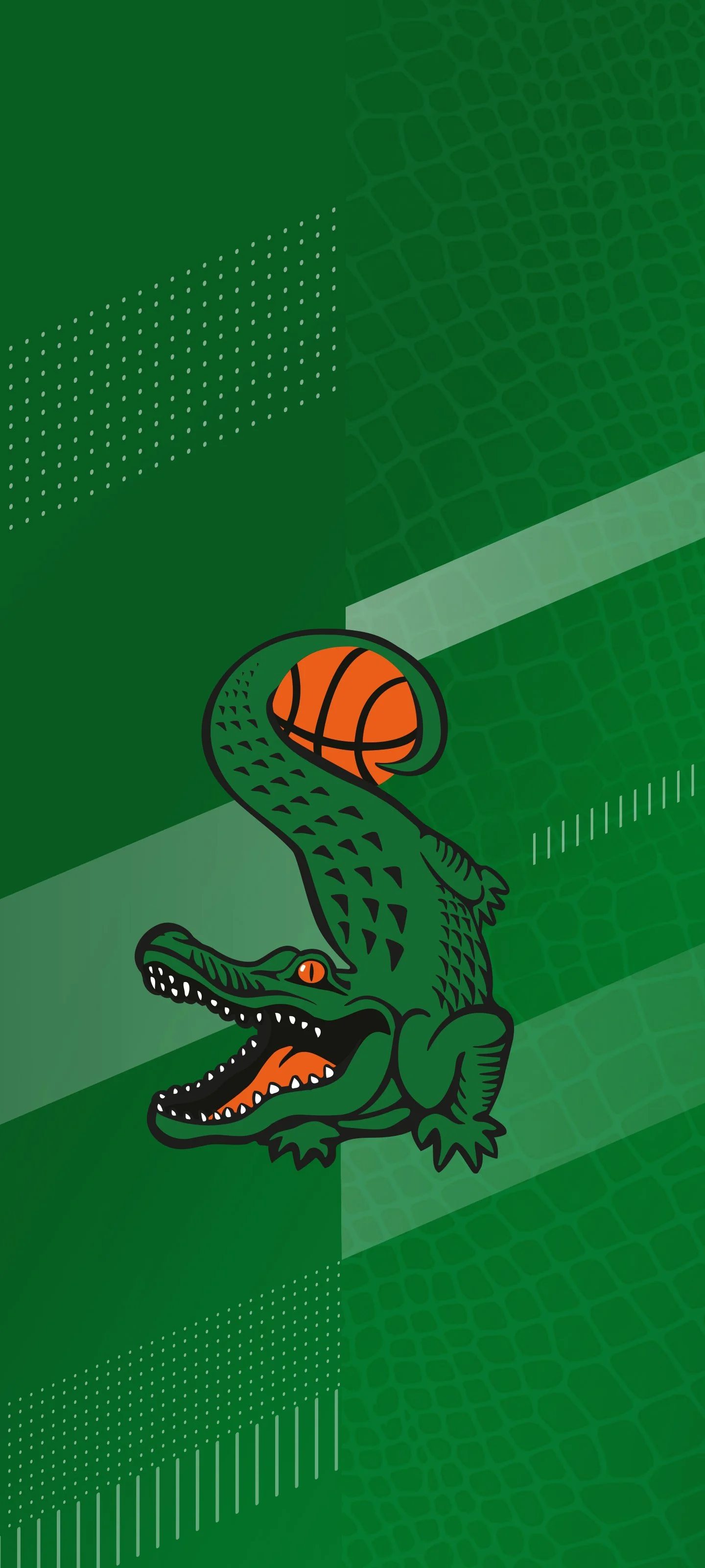 Un'illustrazione di un coccodrillo verde che tiene un pallone da basket con la sua pinna.