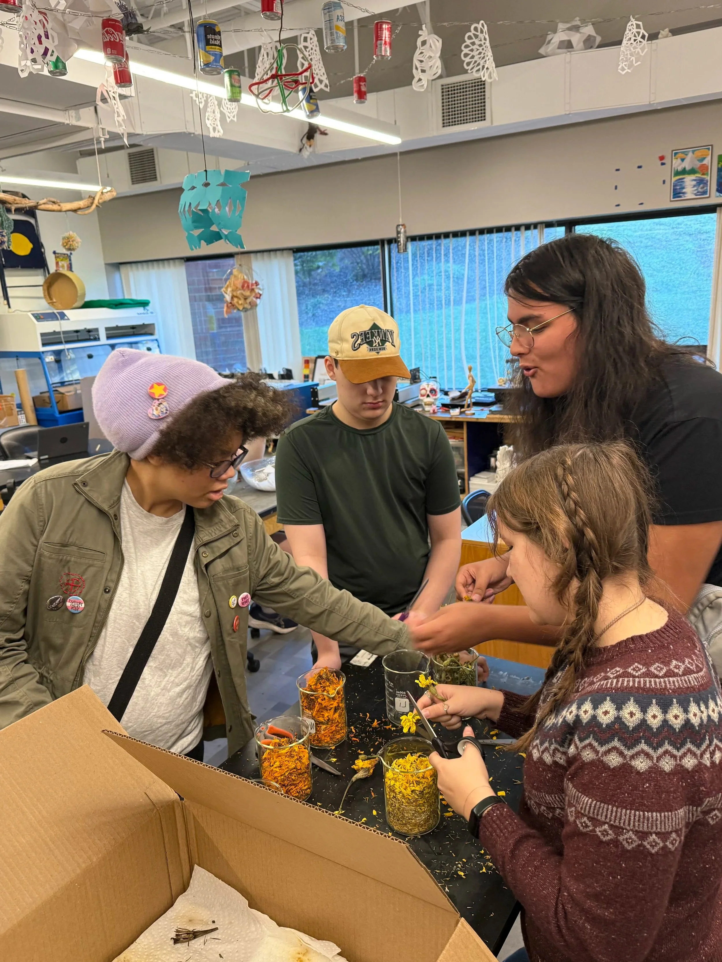 Students sorting dried flowers and plant materials into glass jars at a classroom worktable